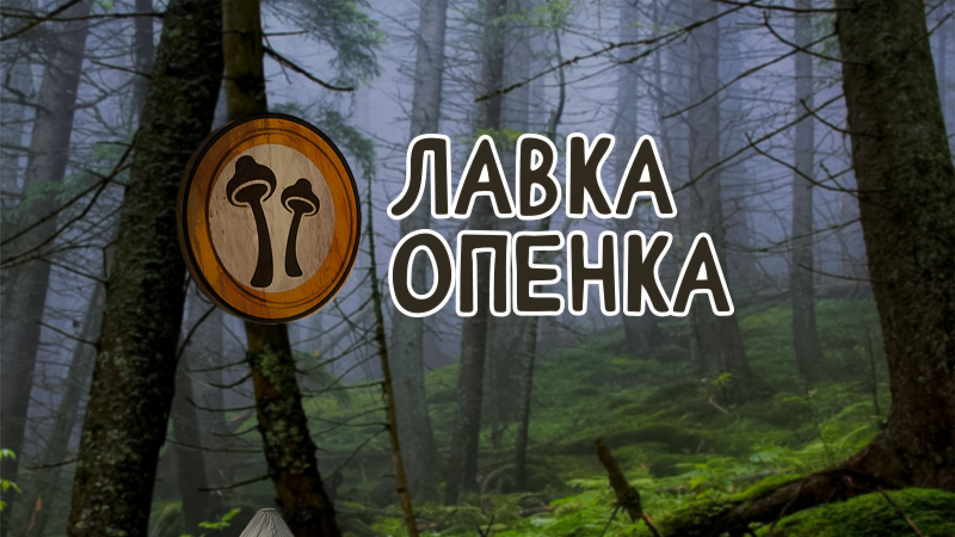 Дизайн упаковки l Лавка Опенка — Изображение №1 — Брендинг на Dprofile