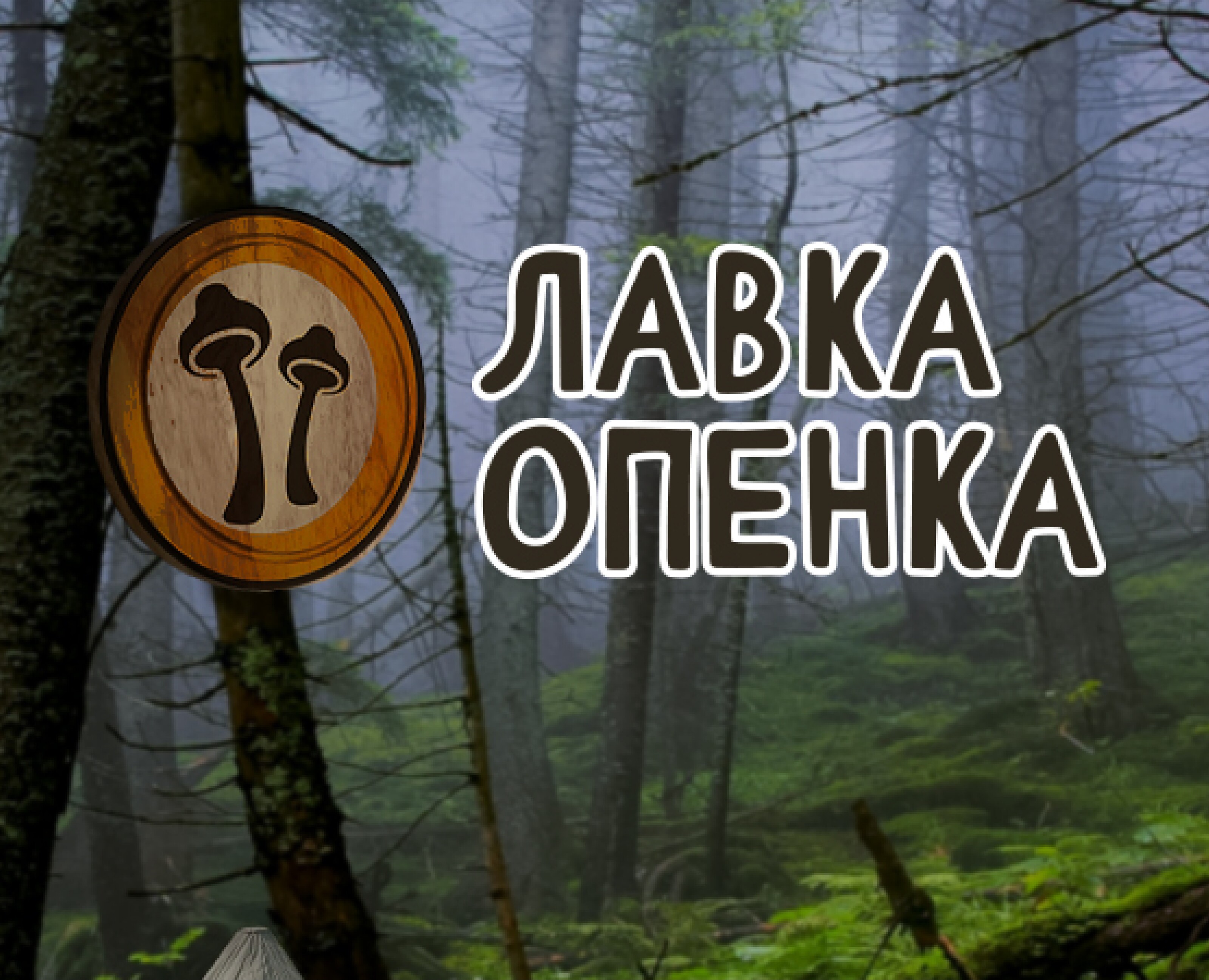 Дизайн упаковки l Лавка Опенка — Брендинг на Dprofile