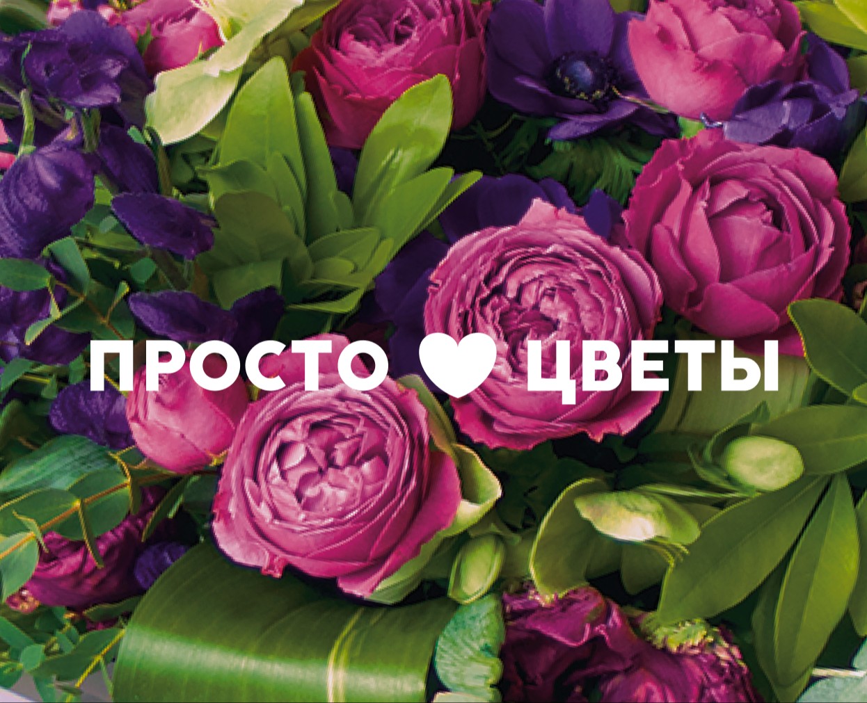 Простоцветы. Брендинг — Брендинг, Иллюстрация на Dprofile