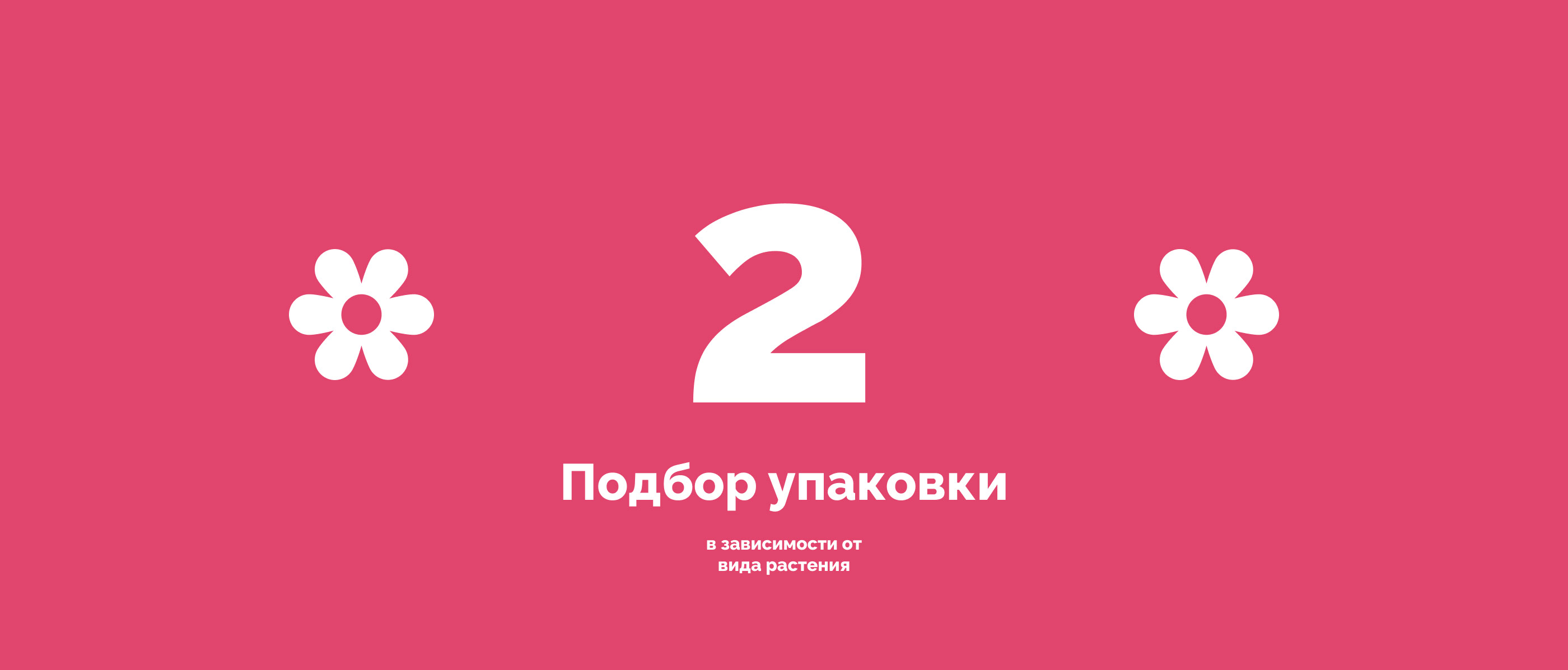 Простоцветы. Брендинг — Изображение №9 — Брендинг, Иллюстрация на Dprofile