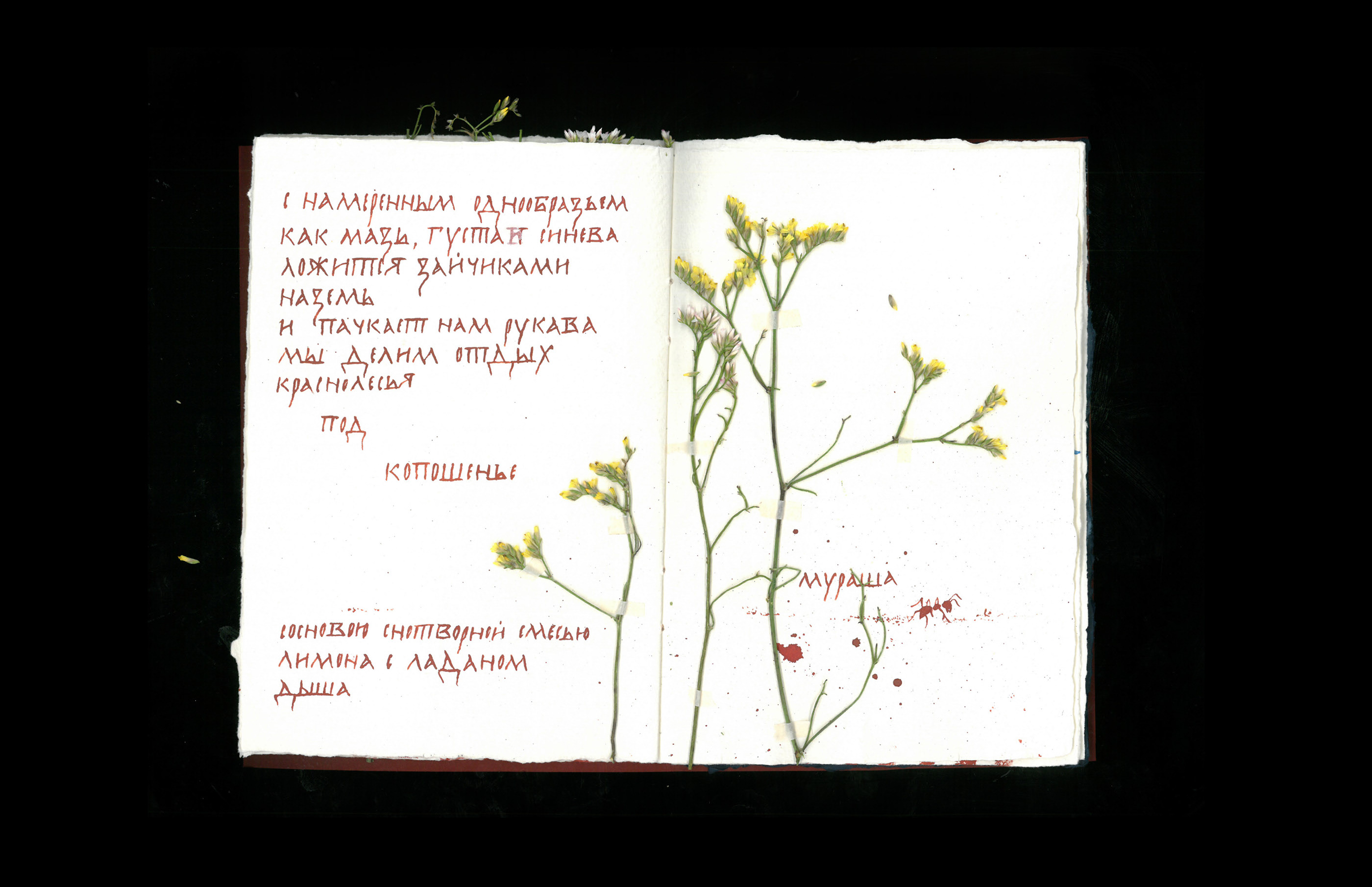 «Сосны» — Изображение №8 — Графика на Dprofile