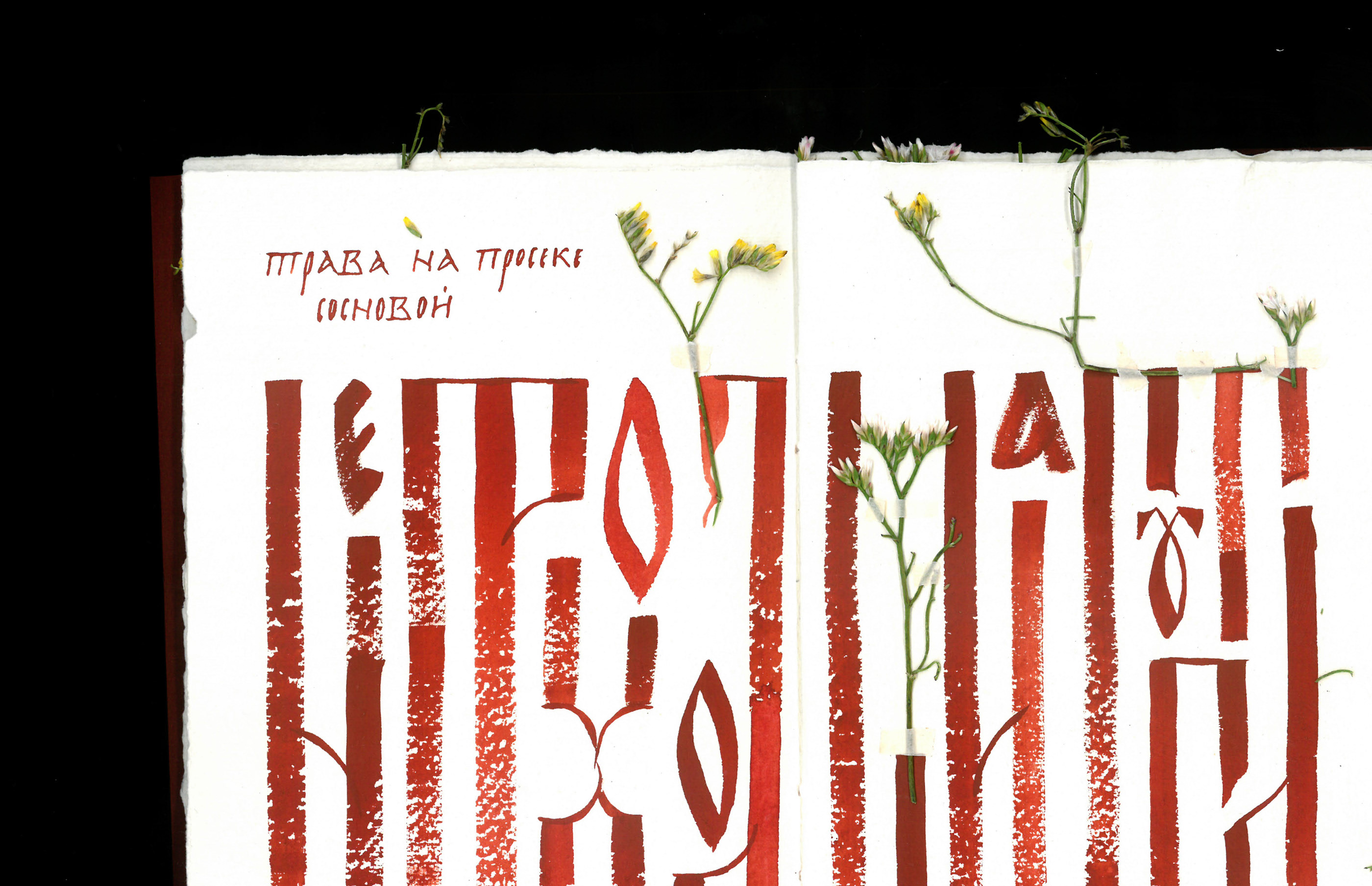 «Сосны» — Изображение №7 — Графика на Dprofile
