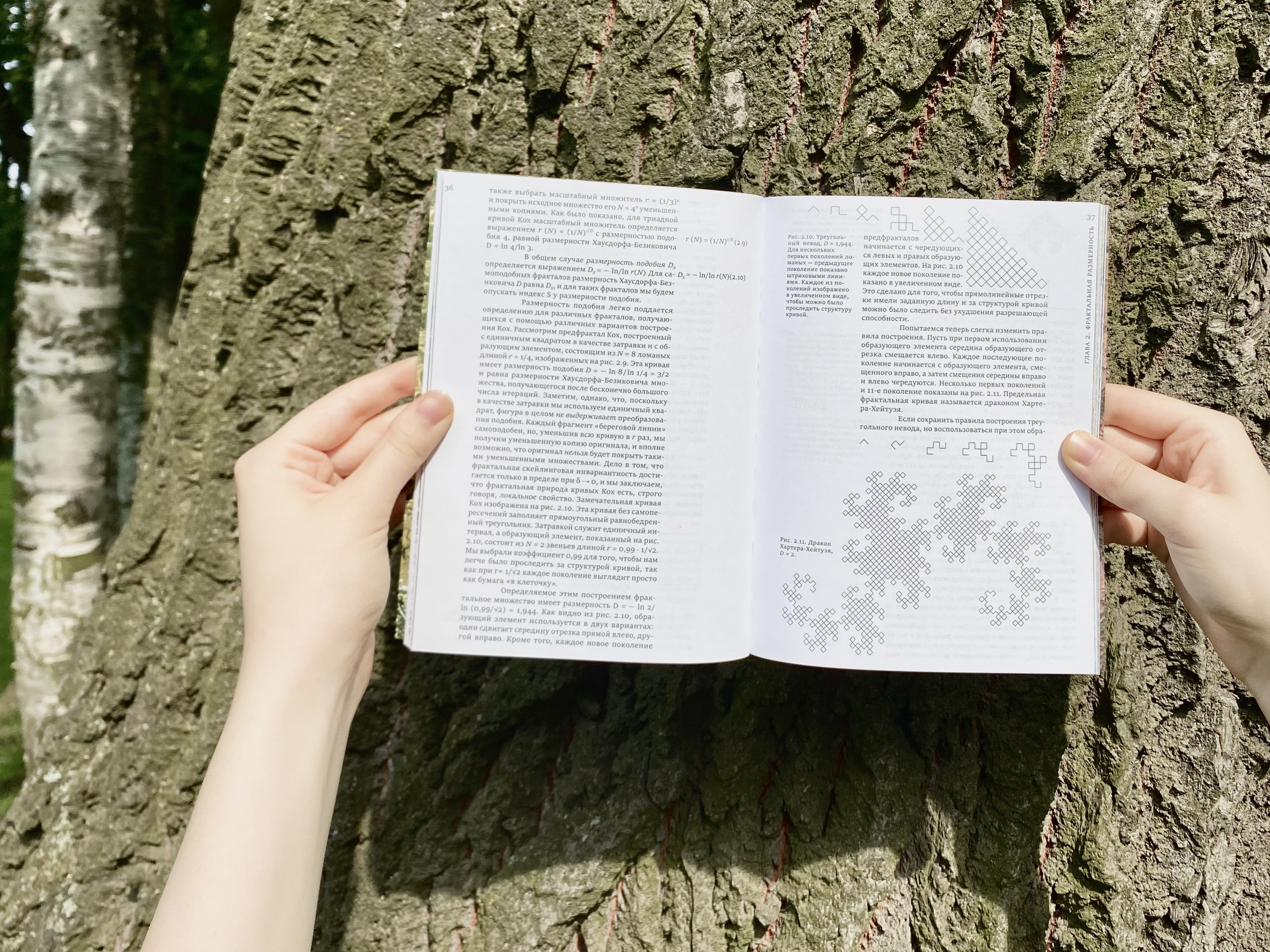 Фракталы — Изображение №26 — Графика на Dprofile