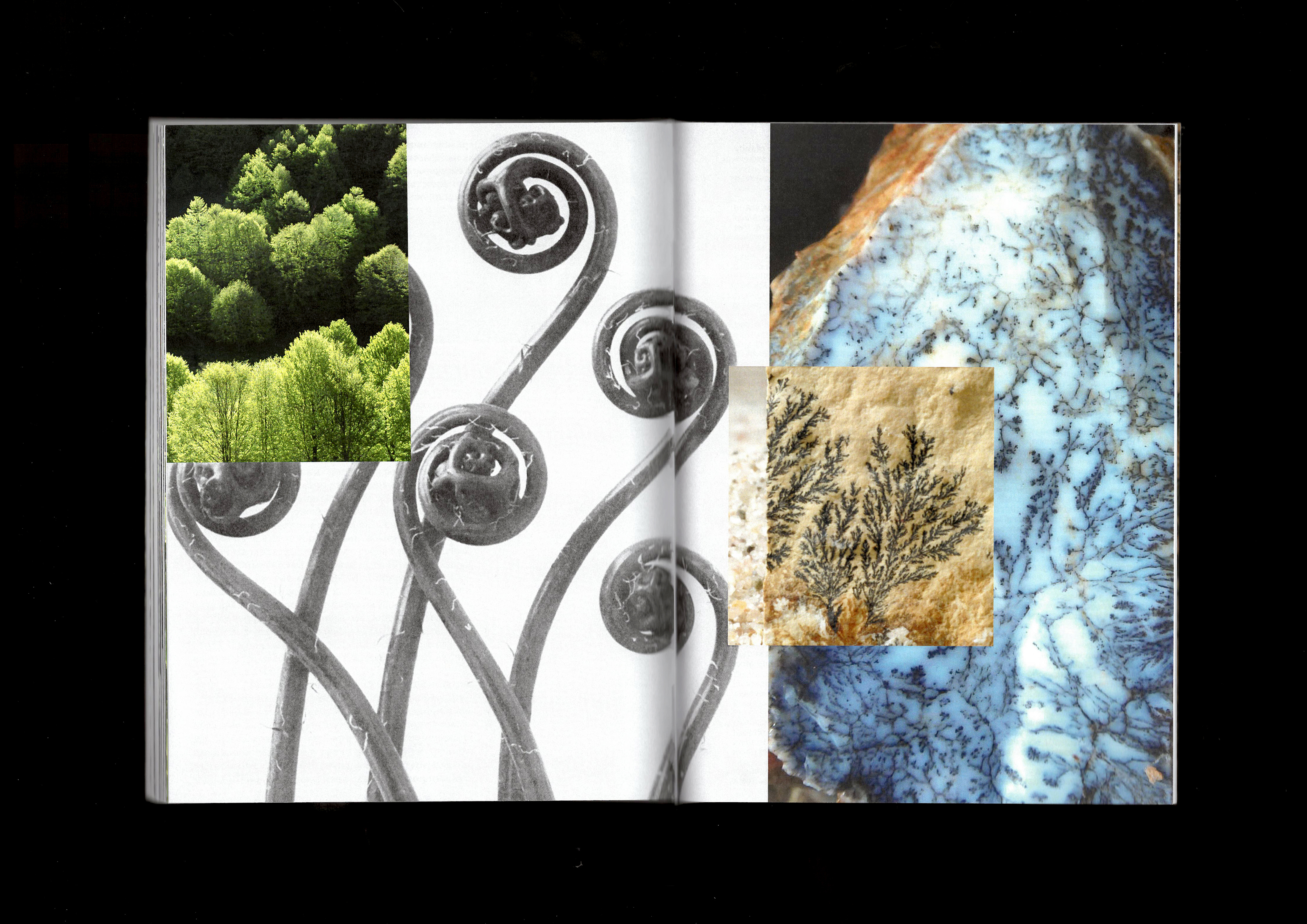 Фракталы — Изображение №27 — Графика на Dprofile