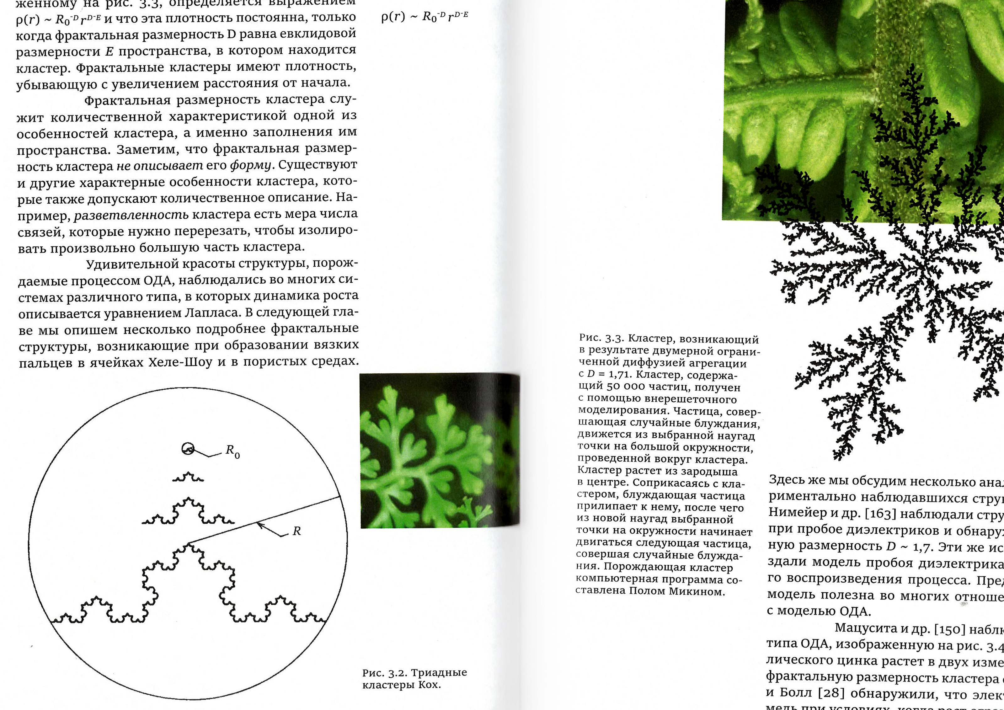 Фракталы — Изображение №21 — Графика на Dprofile