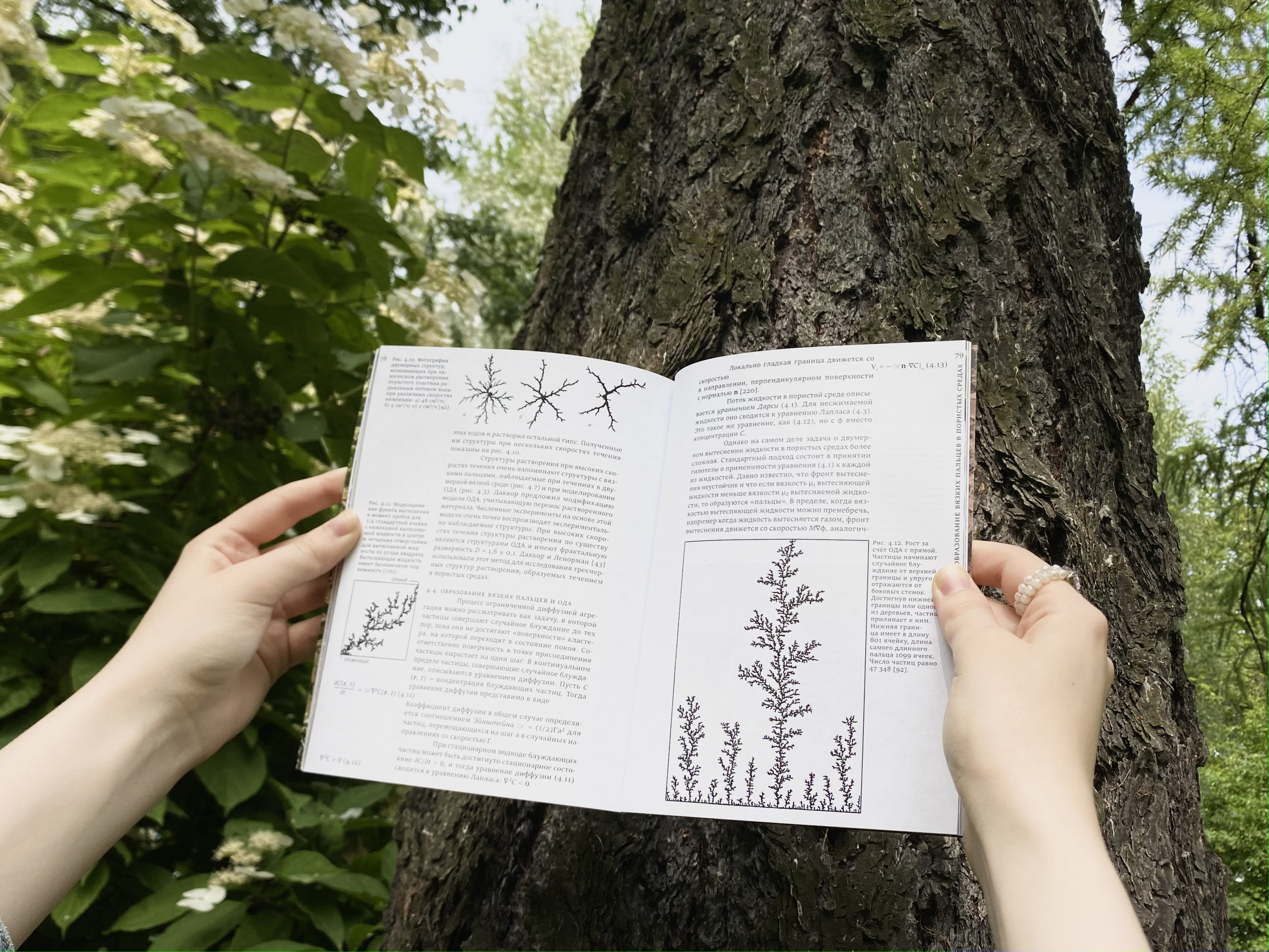 Фракталы — Изображение №28 — Графика на Dprofile