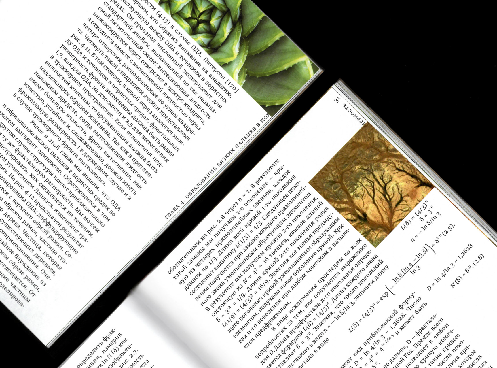 Фракталы — Изображение №15 — Графика на Dprofile