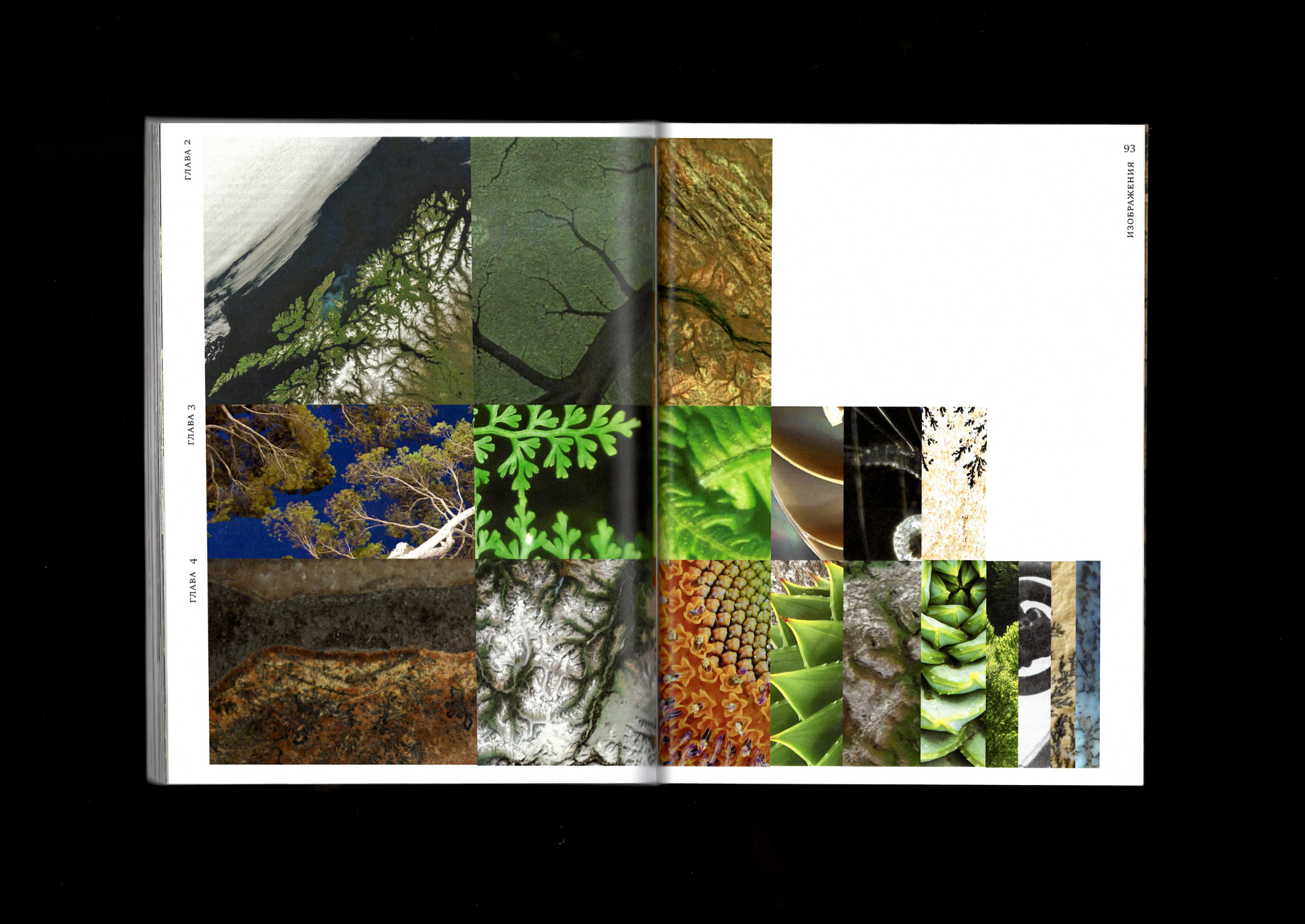 Фракталы — Изображение №29 — Графика на Dprofile