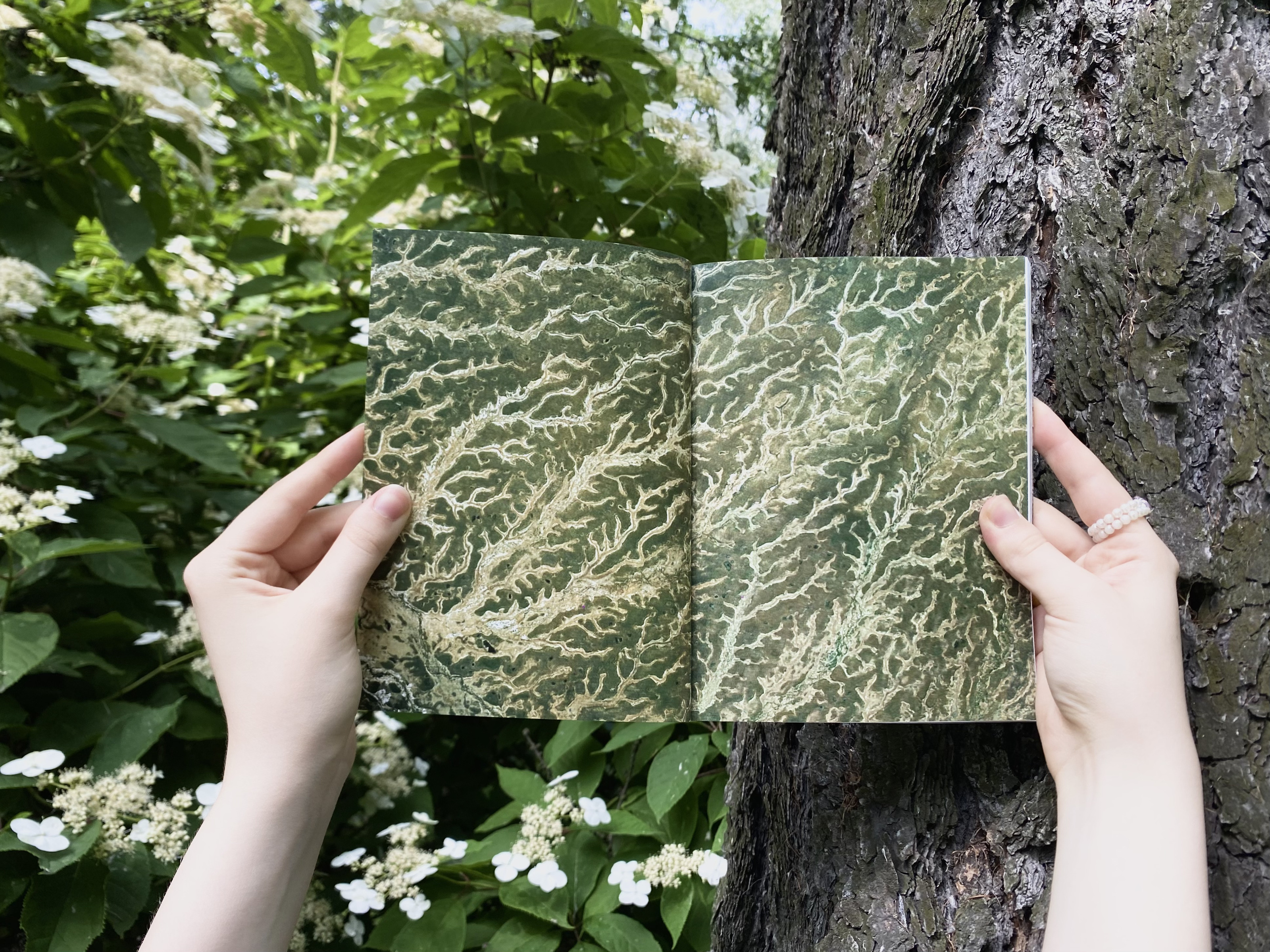 Фракталы — Изображение №1 — Графика на Dprofile