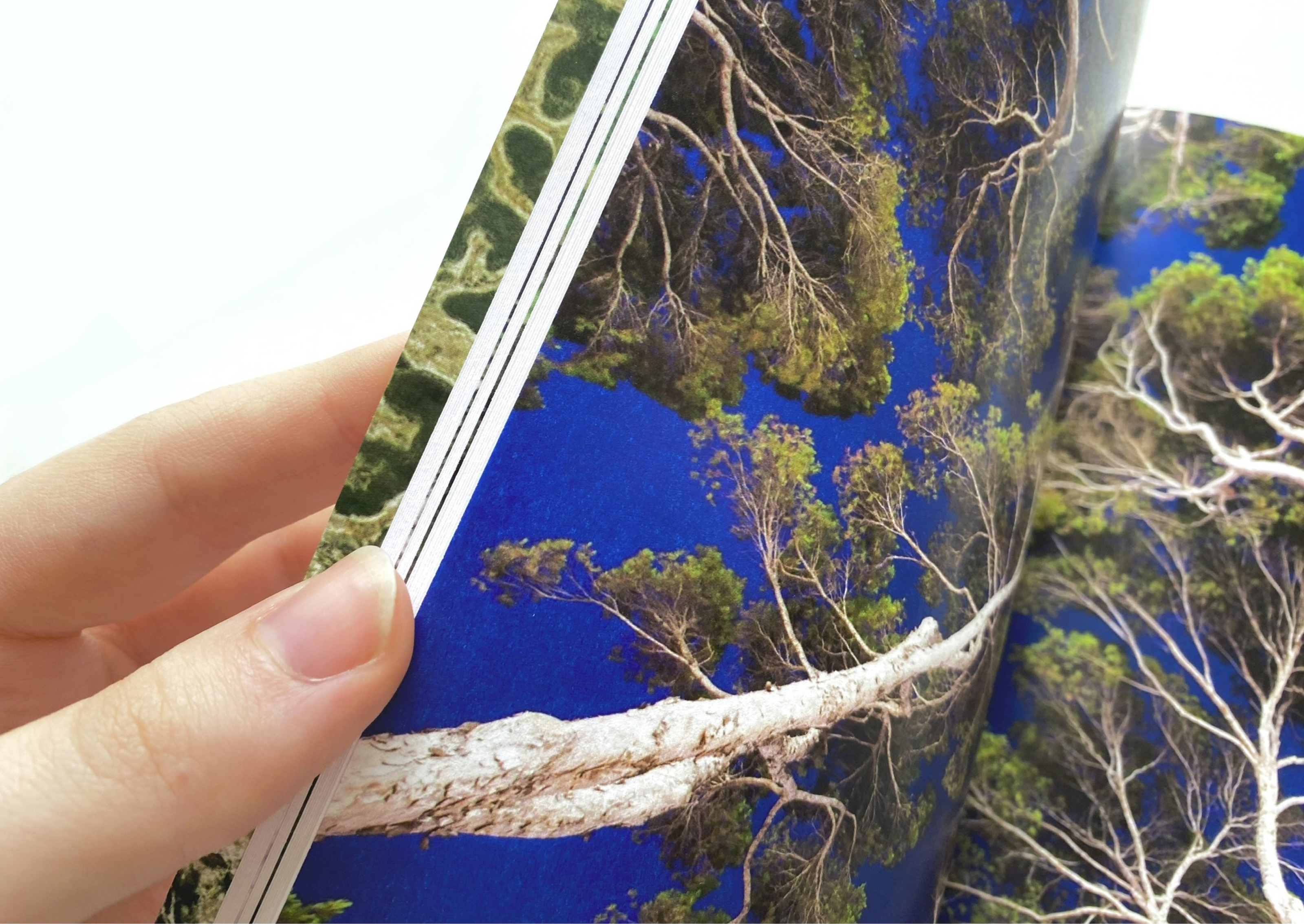 Фракталы — Изображение №24 — Графика на Dprofile