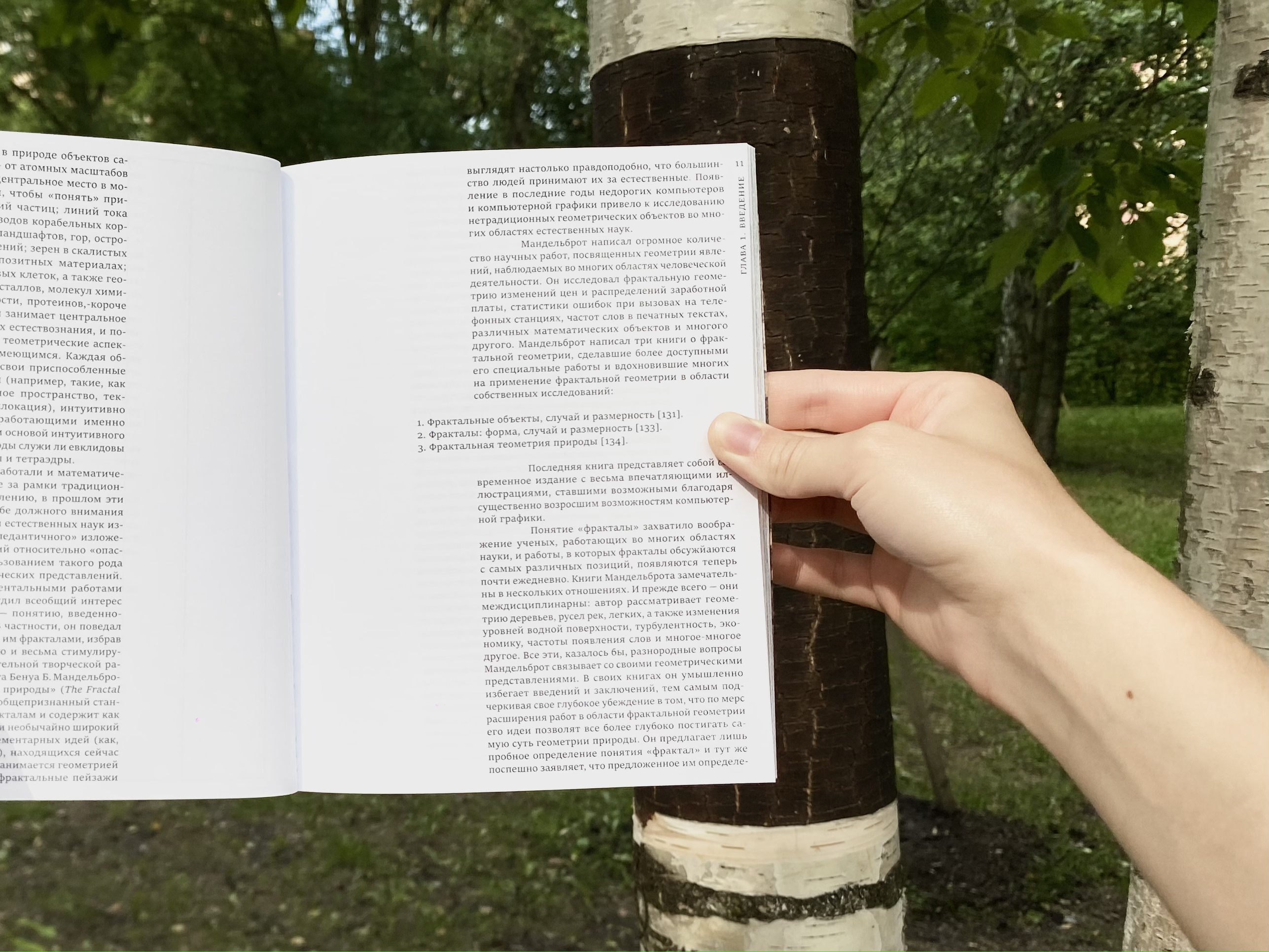 Фракталы — Изображение №5 — Графика на Dprofile