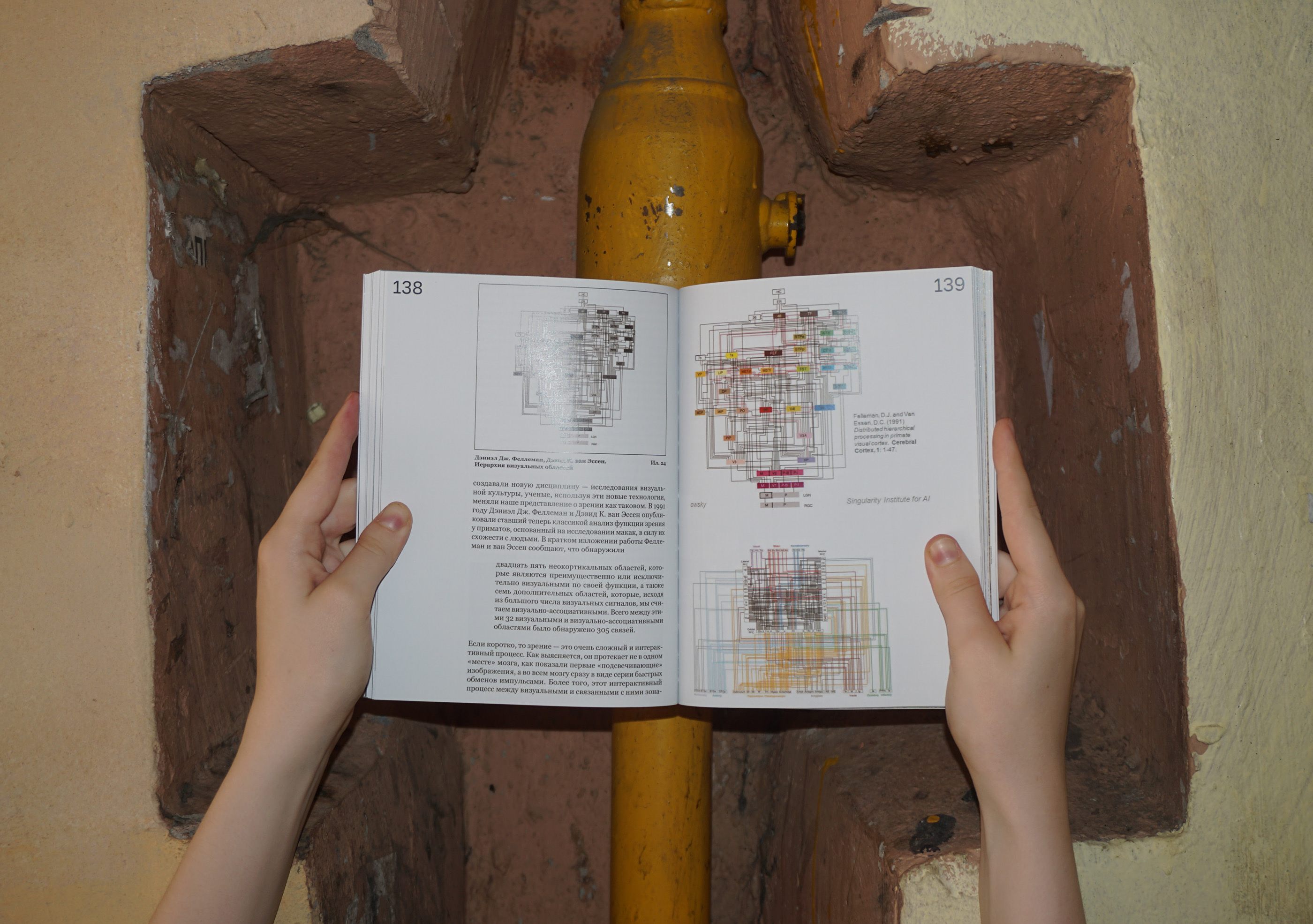 «Как смотреть на мир» Николас Мирзоев. Книга — Изображение №31 — Графика на Dprofile
