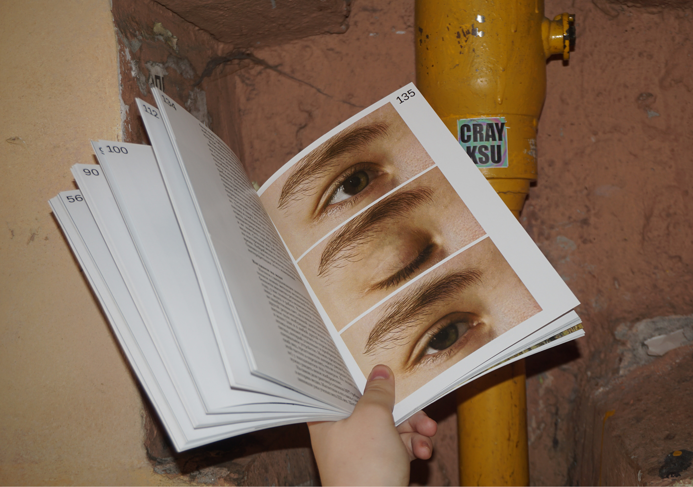 «Как смотреть на мир» Николас Мирзоев. Книга — Изображение №27 — Графика на Dprofile