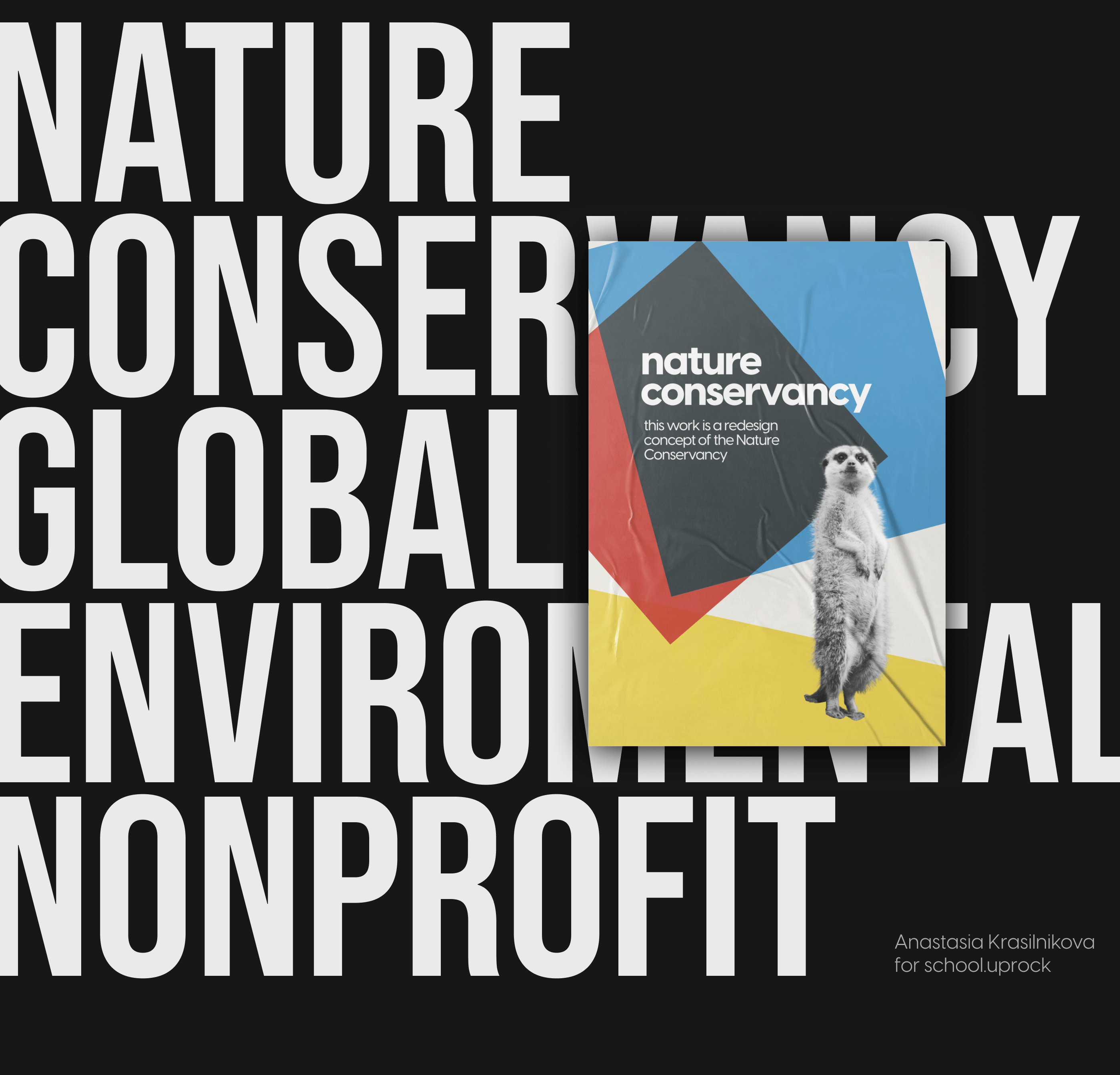Nature Conservancy | corporate website redesign — Изображение №1 — Интерфейсы на Dprofile