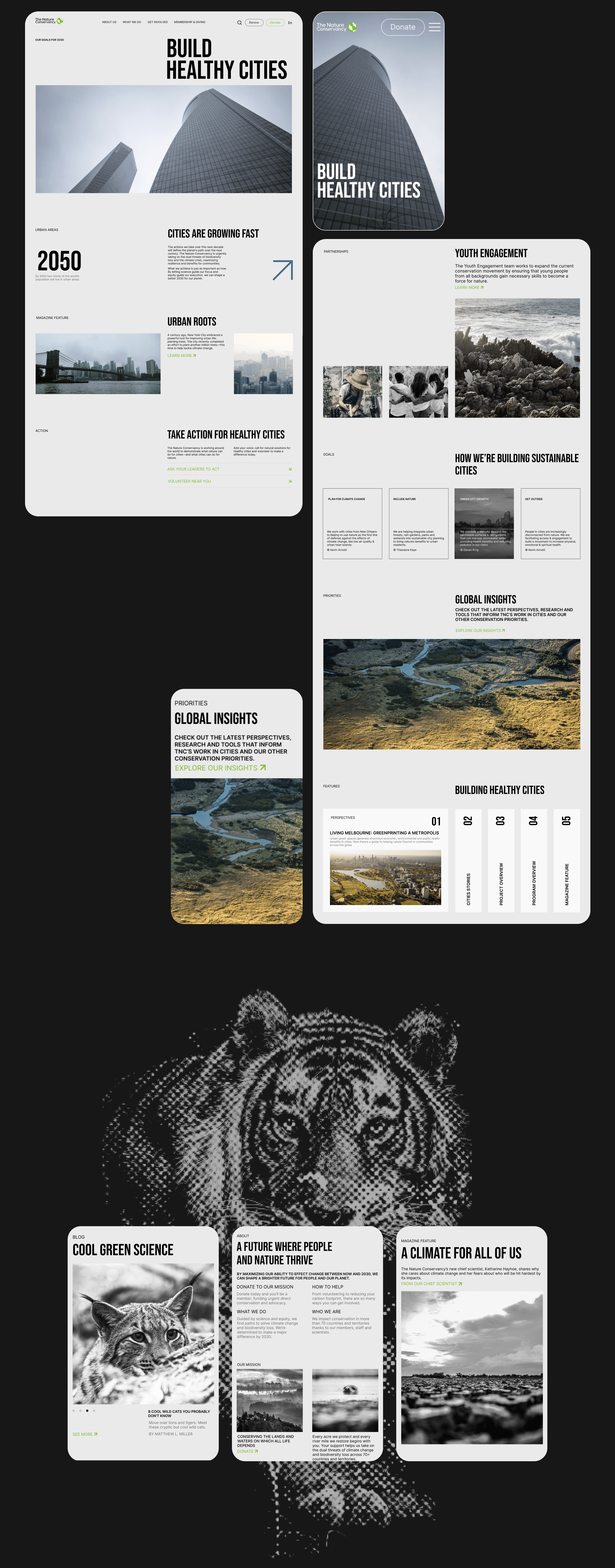 Nature Conservancy | corporate website redesign — Изображение №6 — Интерфейсы на Dprofile