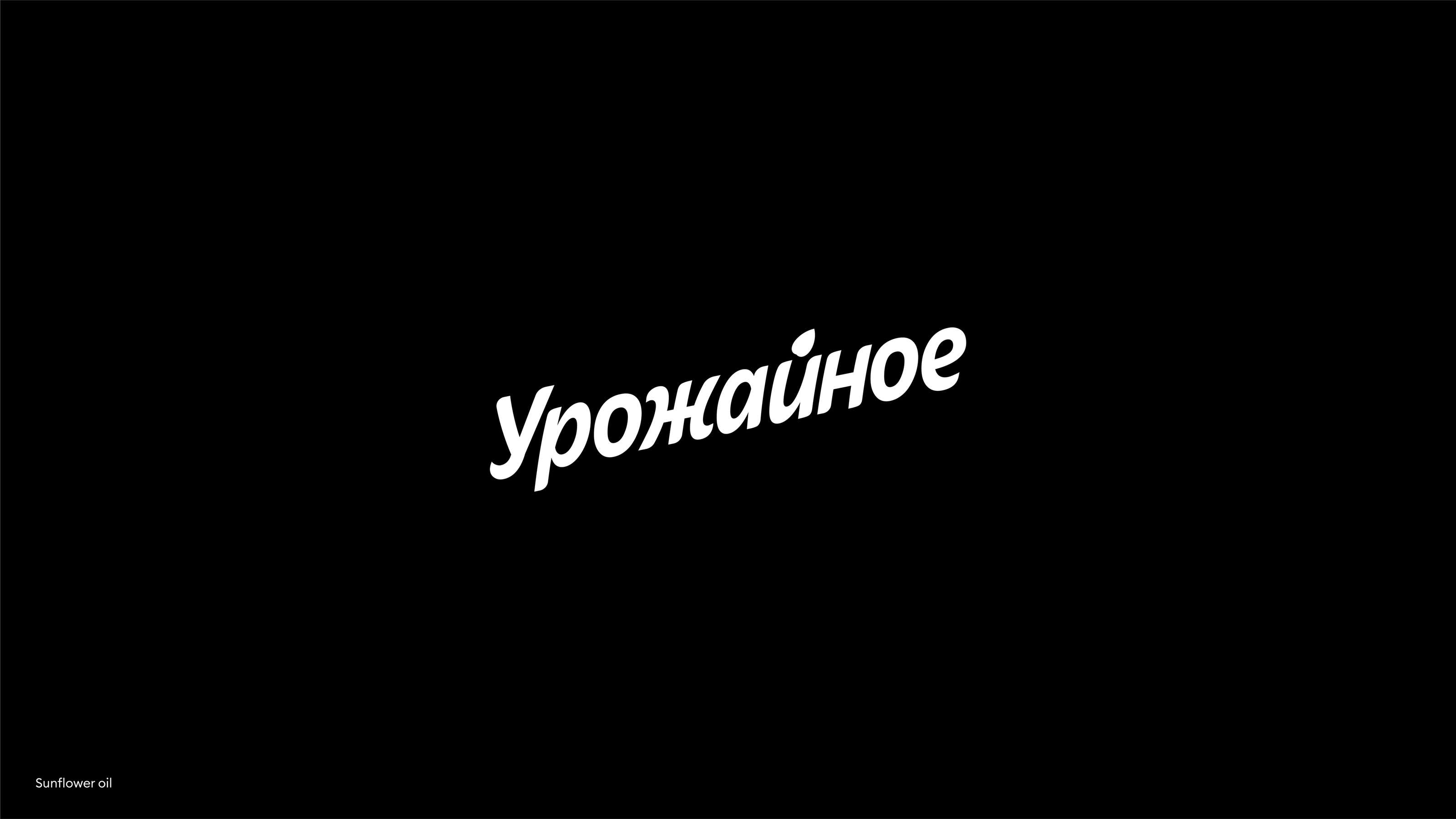 Logotype & lettering 2021-2024 — Изображение №9 — Брендинг на Dprofile