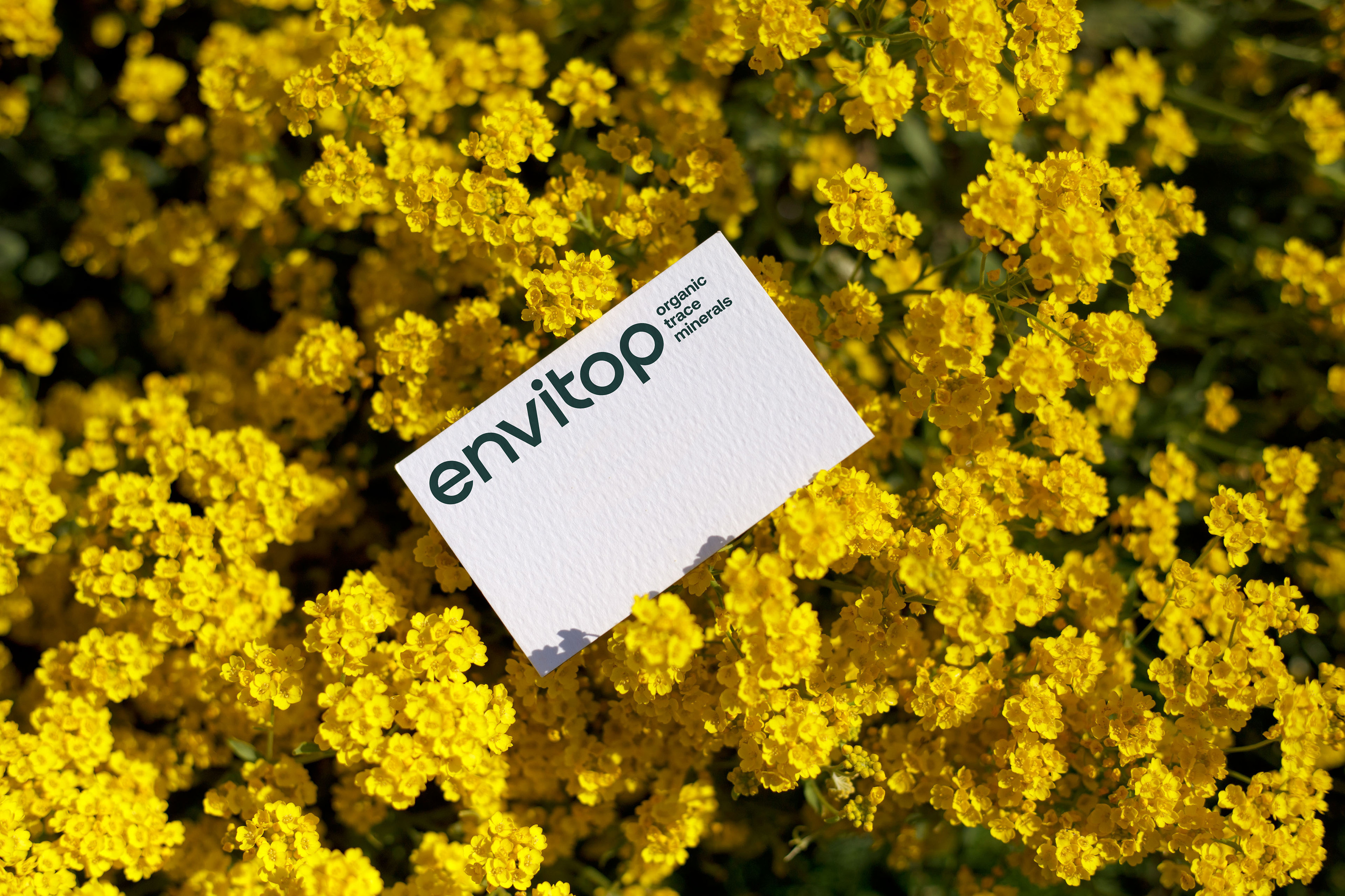 Envitop. Organic trace minerals — Изображение №1 — Брендинг на Dprofile