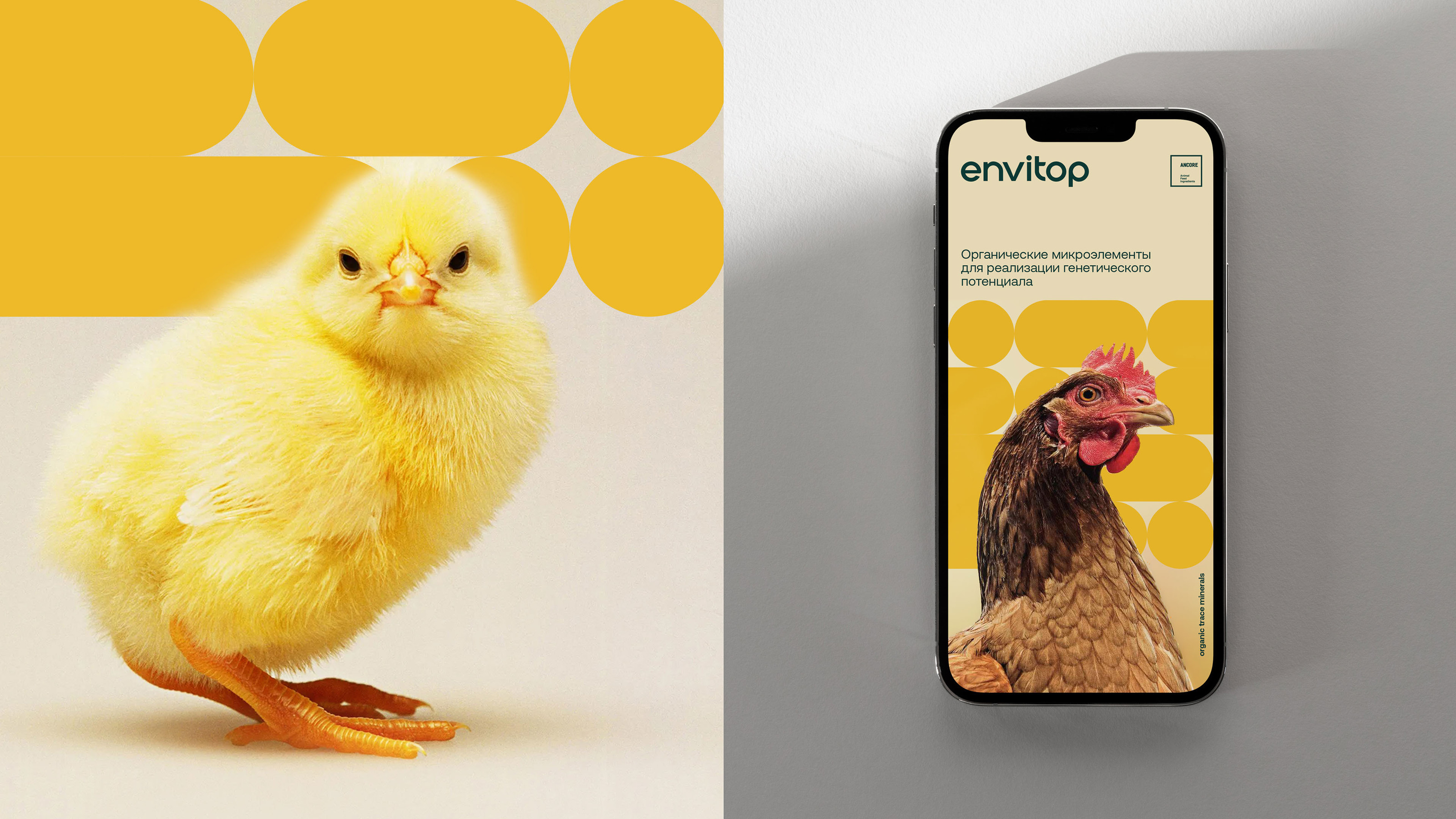 Envitop. Organic trace minerals — Изображение №6 — Брендинг на Dprofile