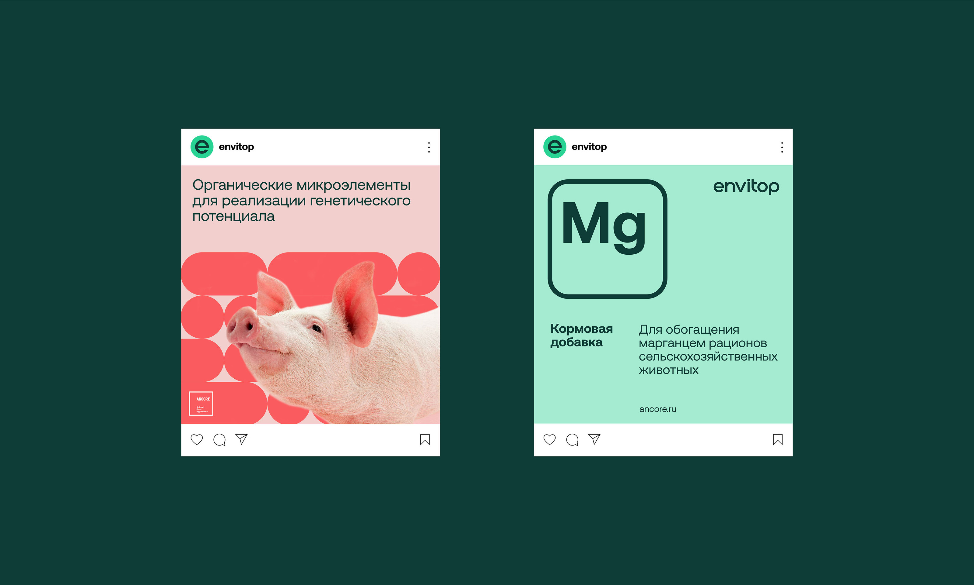 Envitop. Organic trace minerals — Изображение №14 — Брендинг на Dprofile