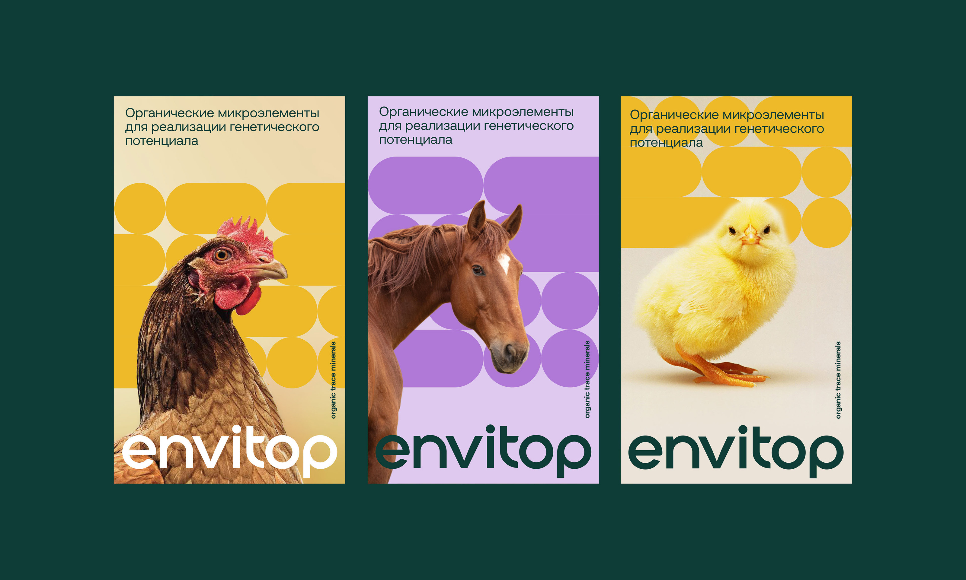 Envitop. Organic trace minerals — Изображение №9 — Брендинг на Dprofile