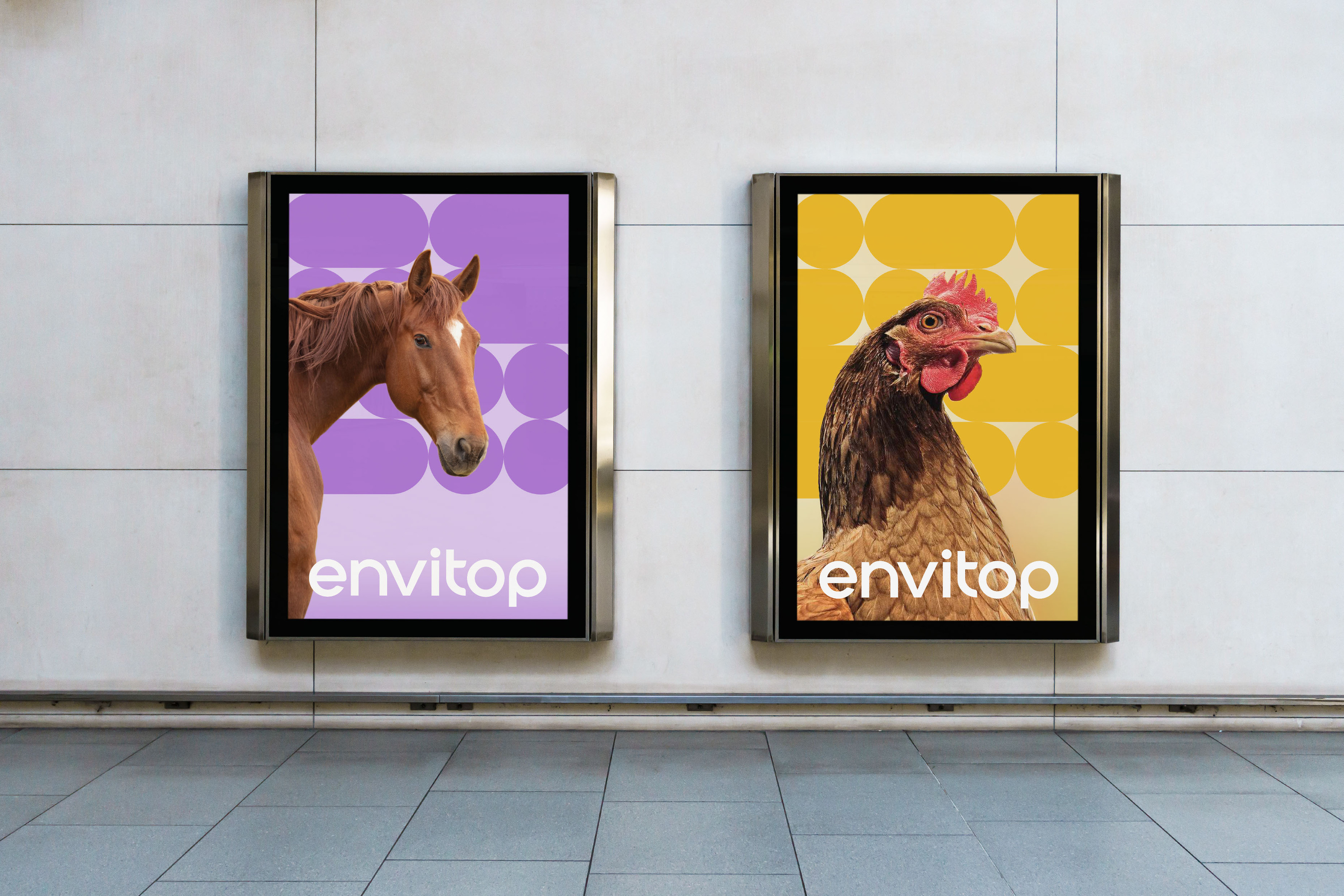 Envitop. Organic trace minerals — Изображение №16 — Брендинг на Dprofile