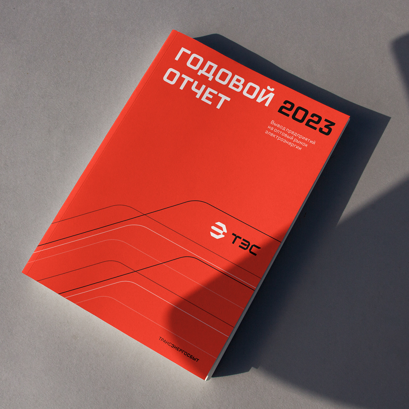 Transenergosbyt — Изображение №19 — Брендинг на Dprofile