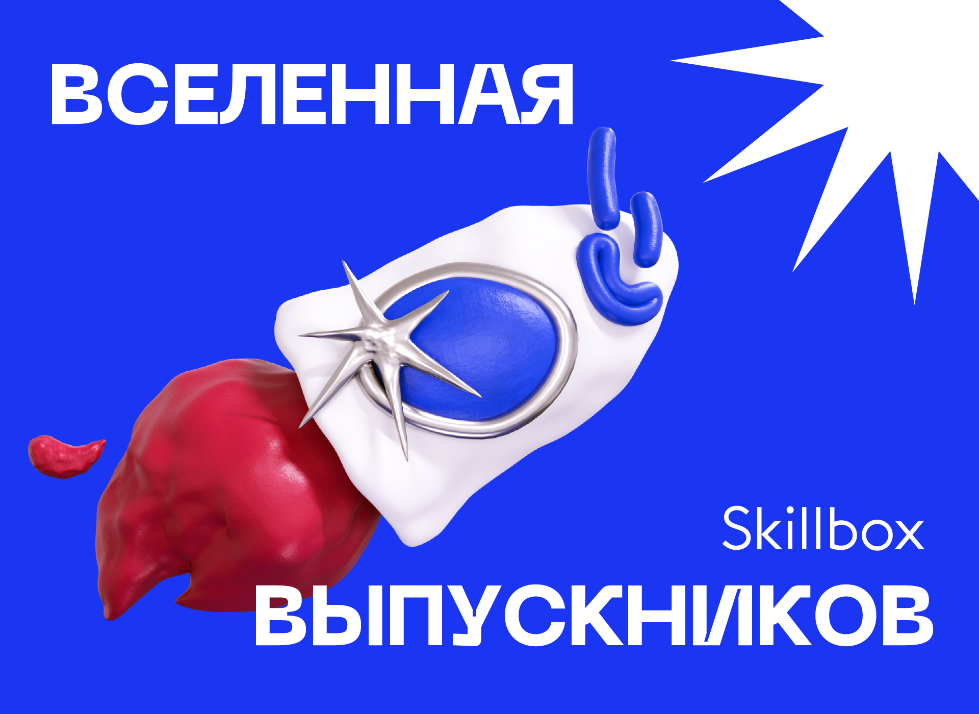 Фирменный стиль и 3D иллюстрации для Skillbox Alumni — Изображение №1 — Брендинг, 3D на Dprofile