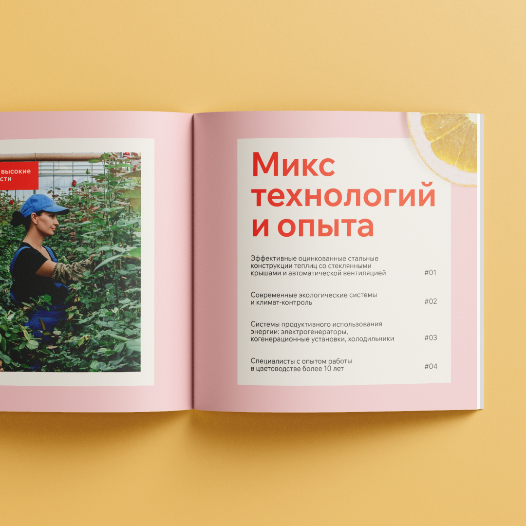 Цветочное меню для «Цветополиса» — Изображение №2 — Брендинг, Графика на Dprofile