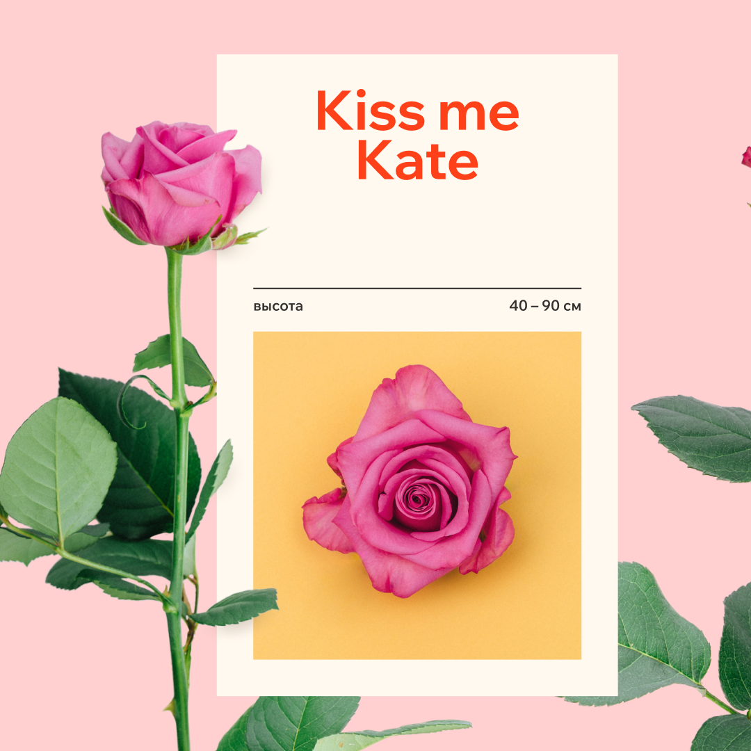 Цветочное меню для «Цветополиса» — Изображение №4 — Брендинг, Графика на Dprofile