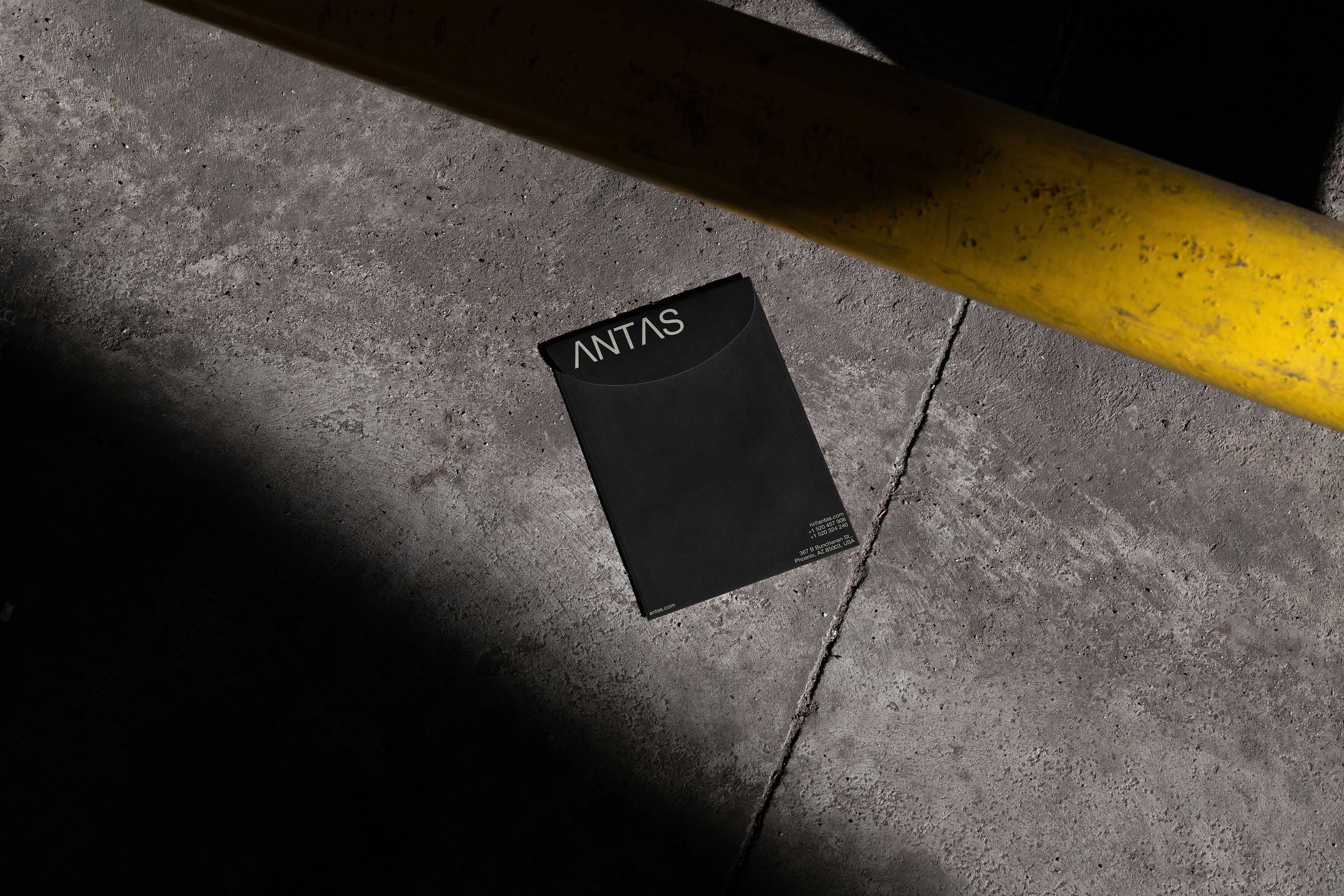 ANTAS [Веб-студия] — Изображение №12 — Брендинг, Графика на Dprofile