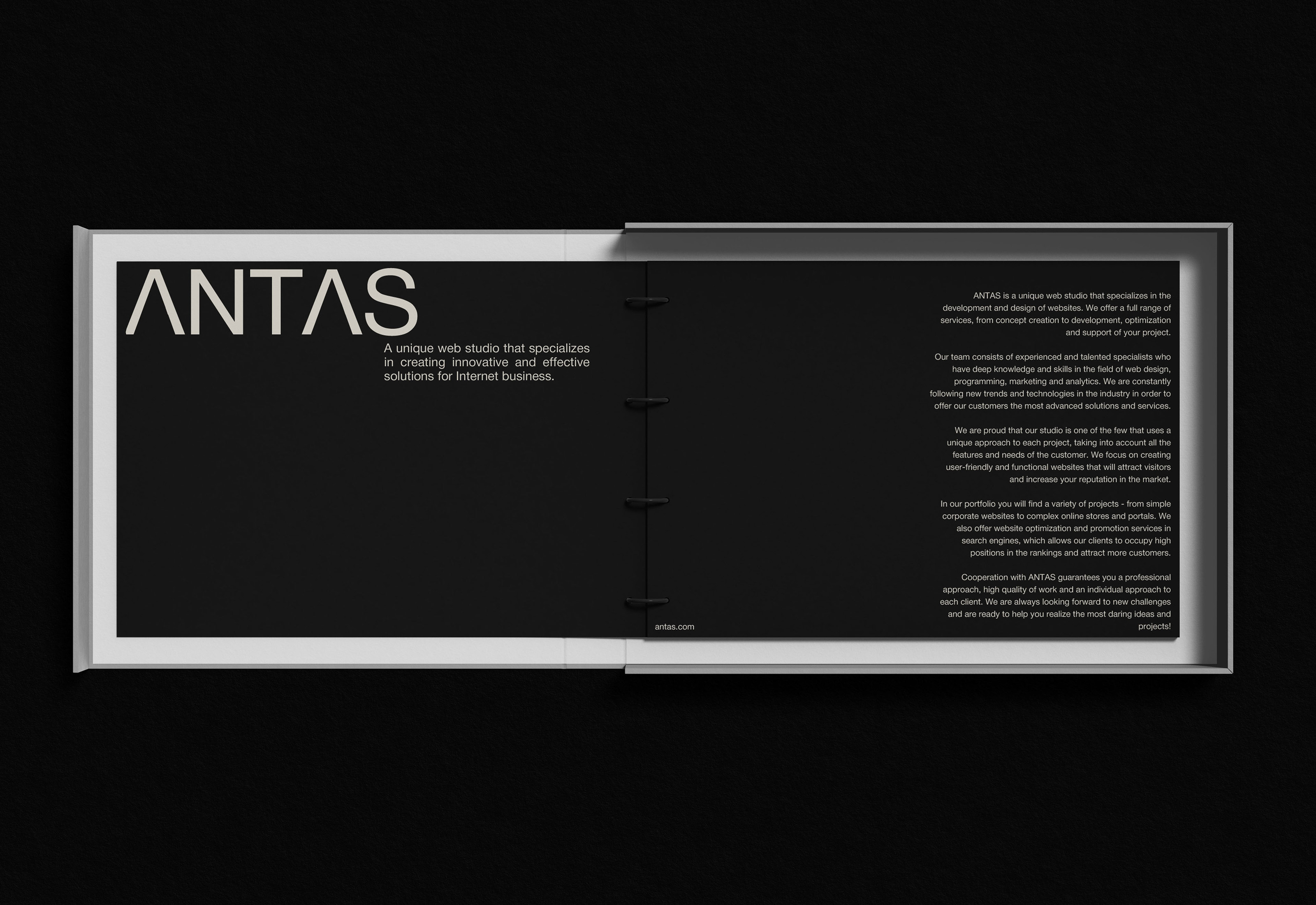 ANTAS [Веб-студия] — Изображение №15 — Брендинг, Графика на Dprofile