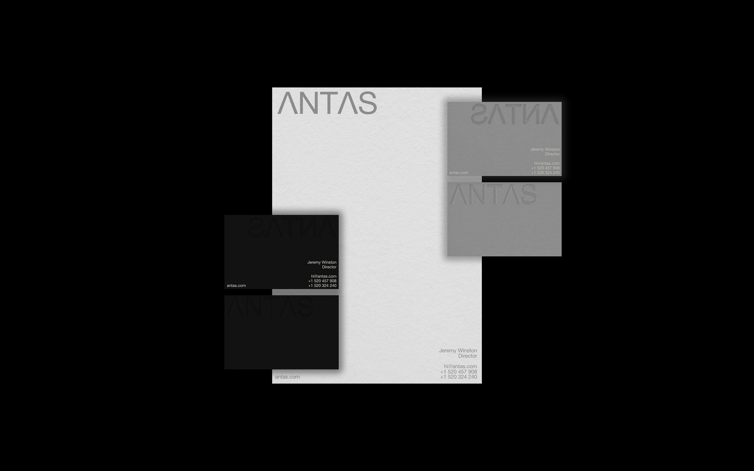 ANTAS [Веб-студия] — Изображение №4 — Брендинг, Графика на Dprofile