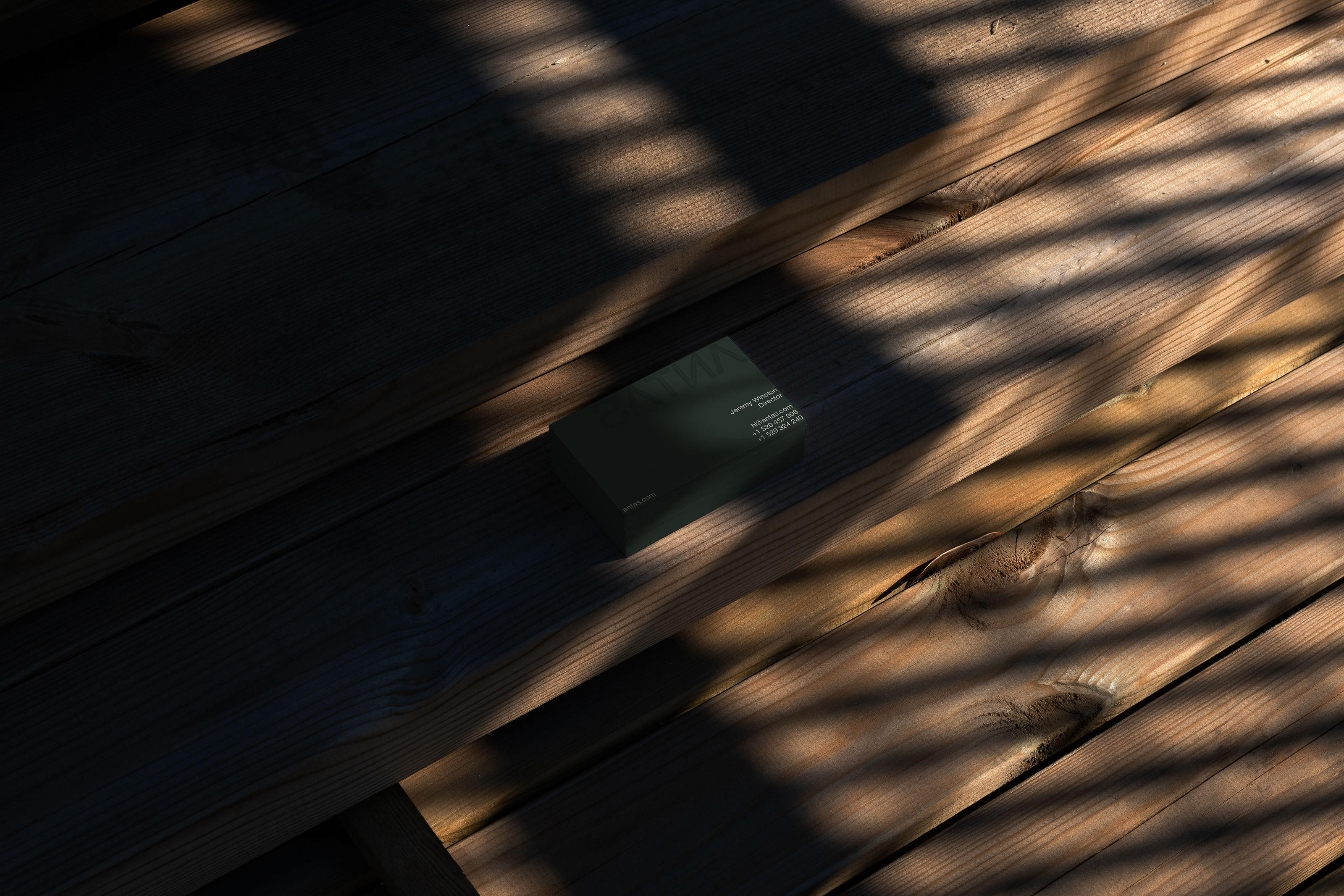 ANTAS [Веб-студия] — Изображение №3 — Брендинг, Графика на Dprofile