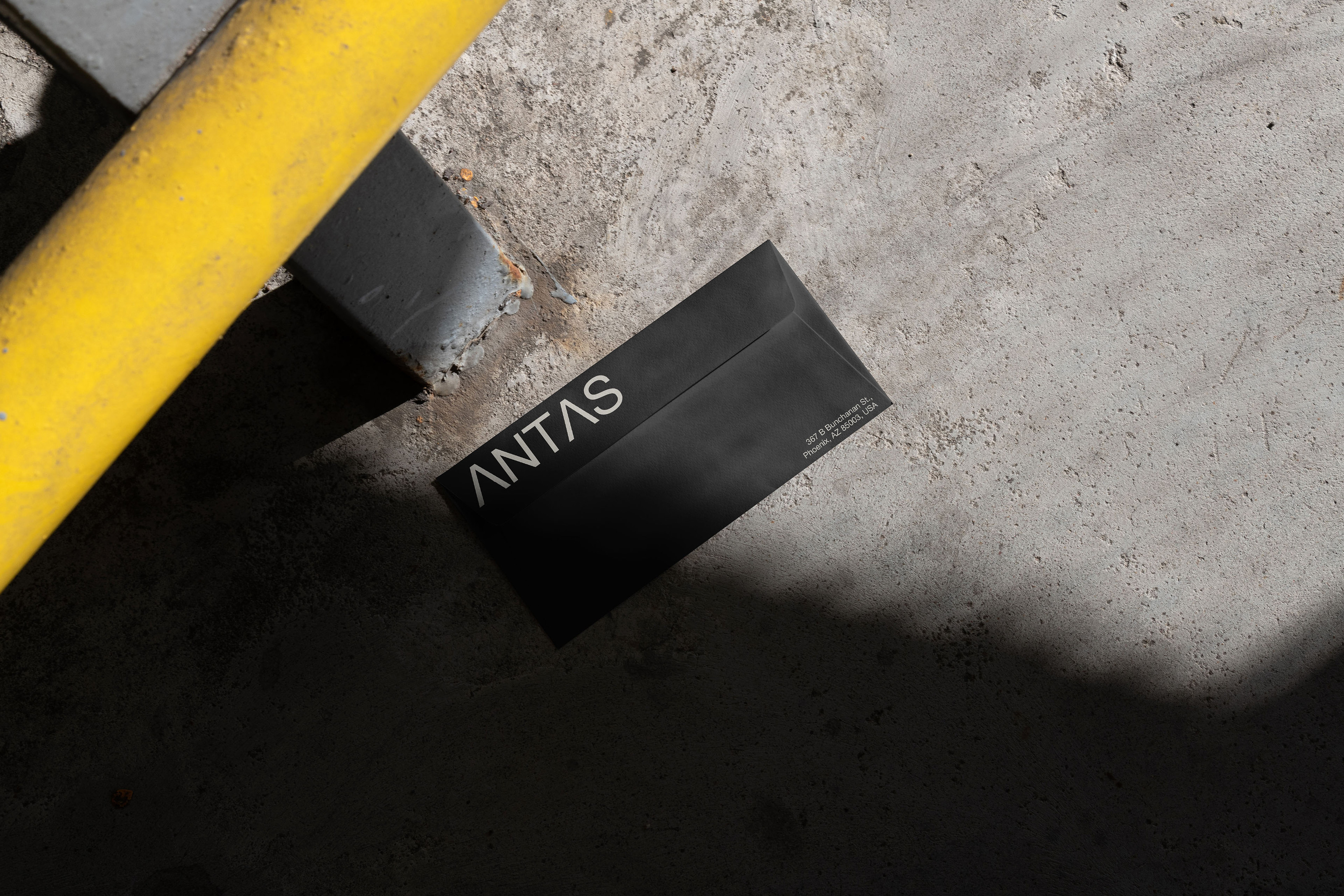 ANTAS [Веб-студия] — Изображение №13 — Брендинг, Графика на Dprofile