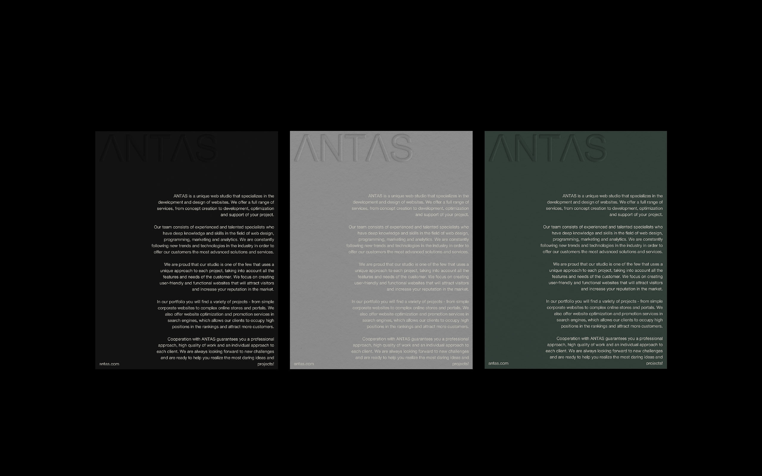 ANTAS [Веб-студия] — Изображение №9 — Брендинг, Графика на Dprofile