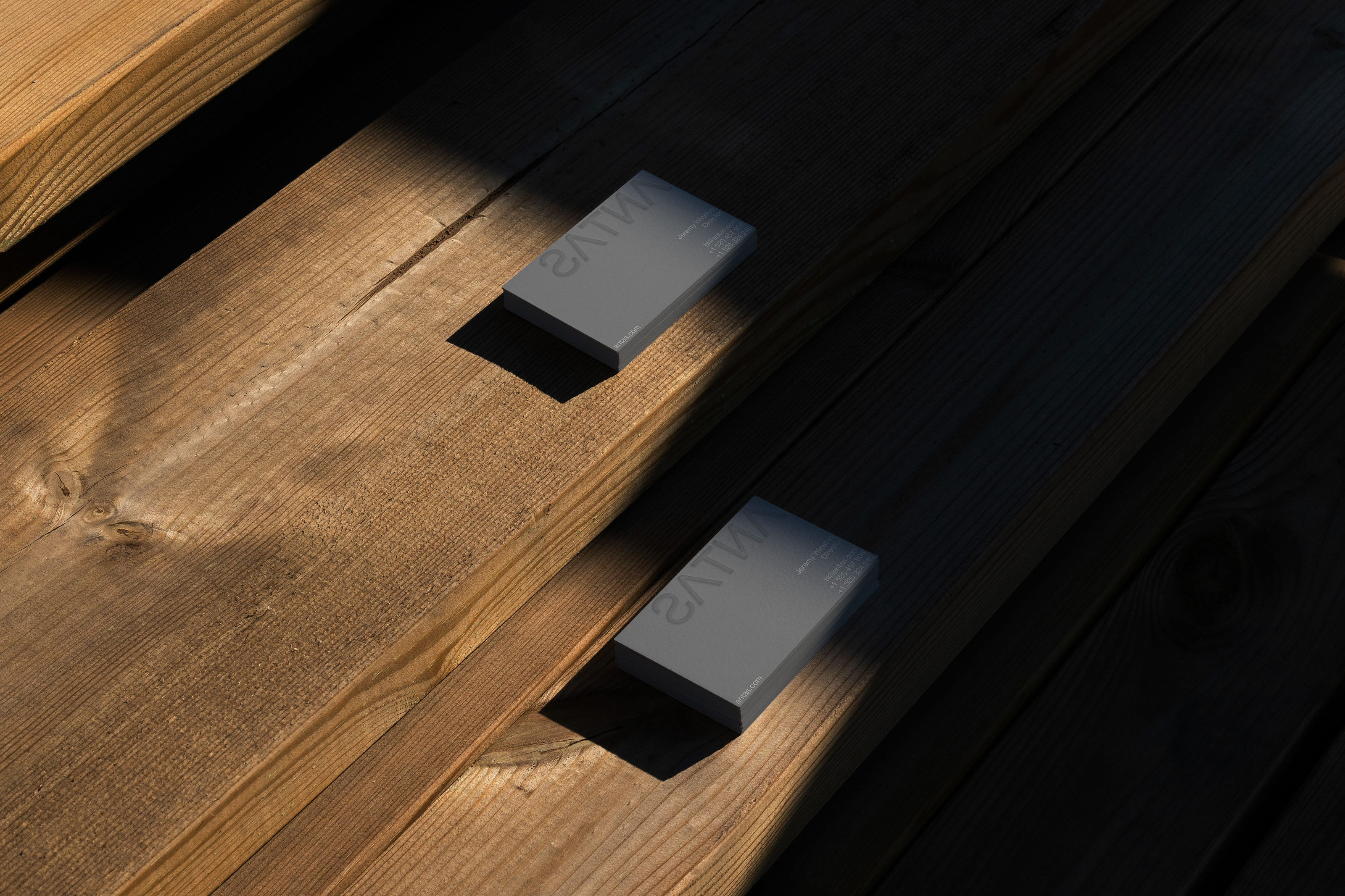 ANTAS [Веб-студия] — Изображение №5 — Брендинг, Графика на Dprofile