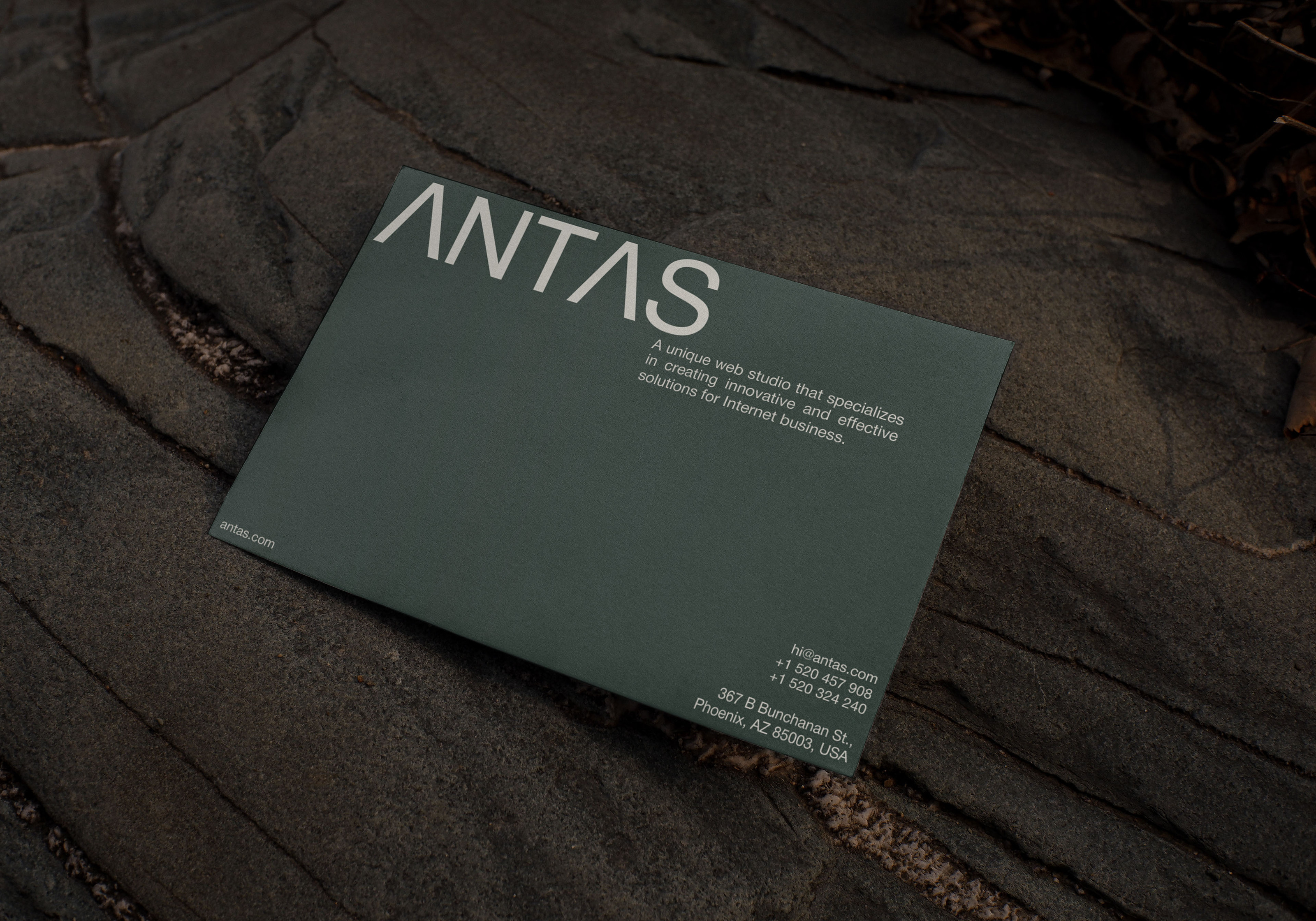 ANTAS [Веб-студия] — Изображение №17 — Брендинг, Графика на Dprofile