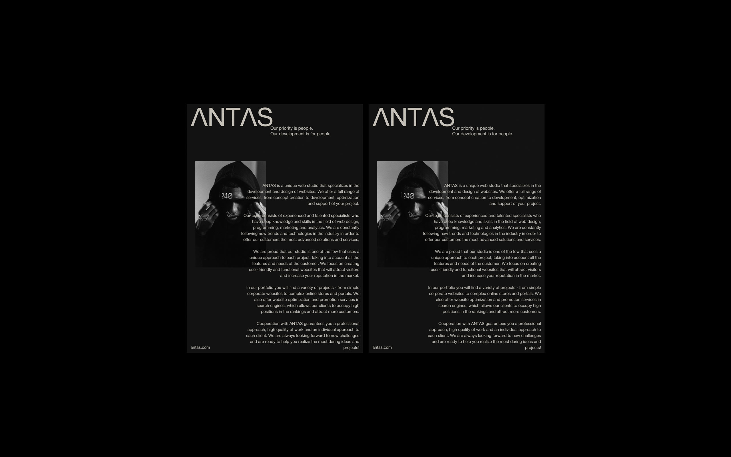 ANTAS [Веб-студия] — Изображение №16 — Брендинг, Графика на Dprofile
