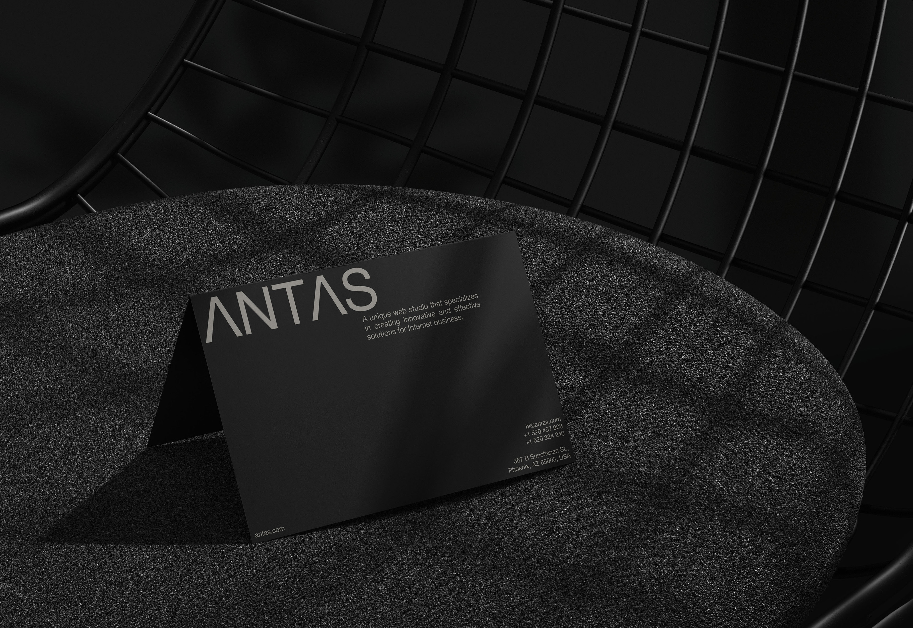 ANTAS [Веб-студия] — Изображение №10 — Брендинг, Графика на Dprofile