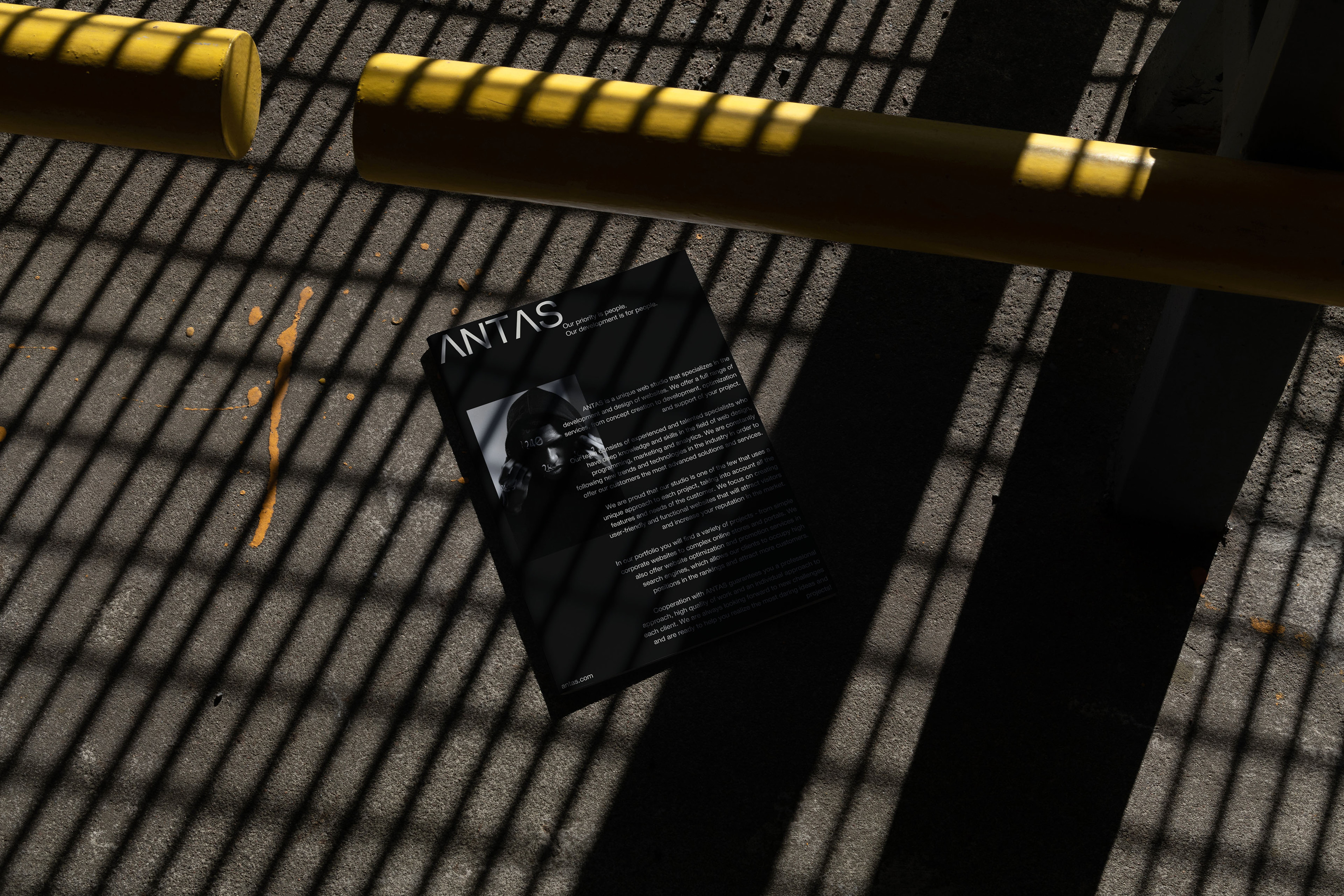 ANTAS [Веб-студия] — Изображение №14 — Брендинг, Графика на Dprofile