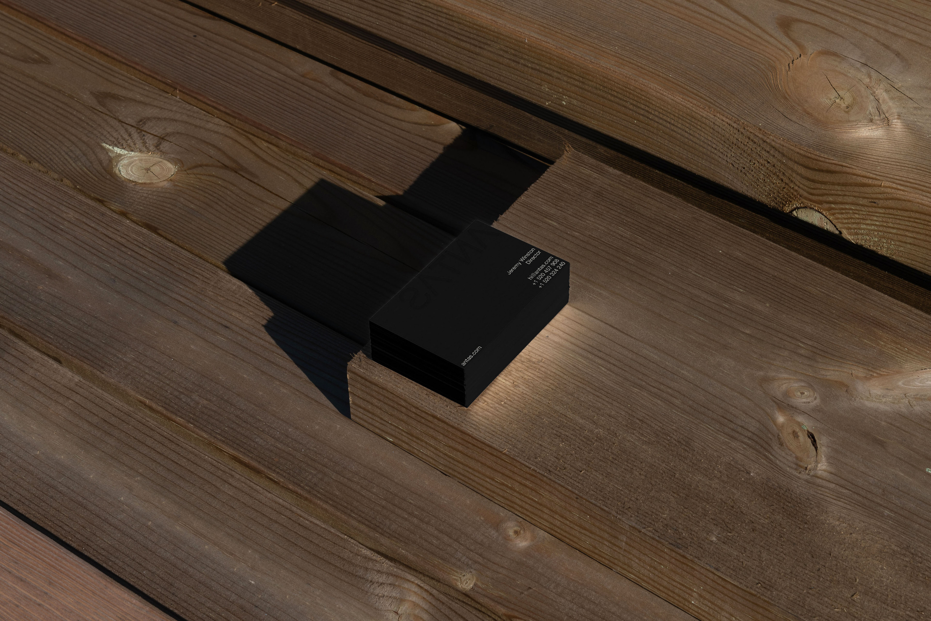 ANTAS [Веб-студия] — Изображение №7 — Брендинг, Графика на Dprofile