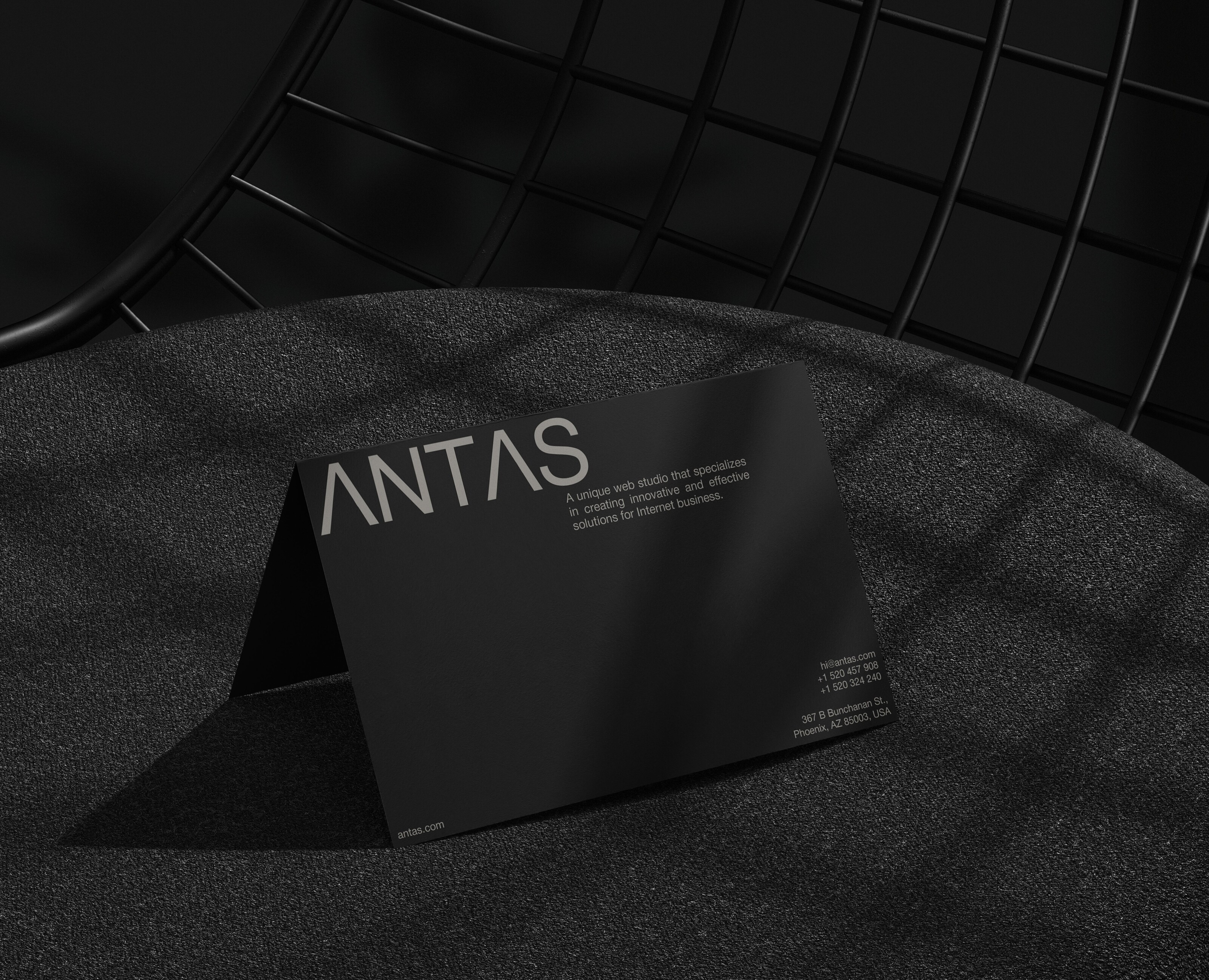 ANTAS [Веб-студия] — Брендинг, Графика на Dprofile