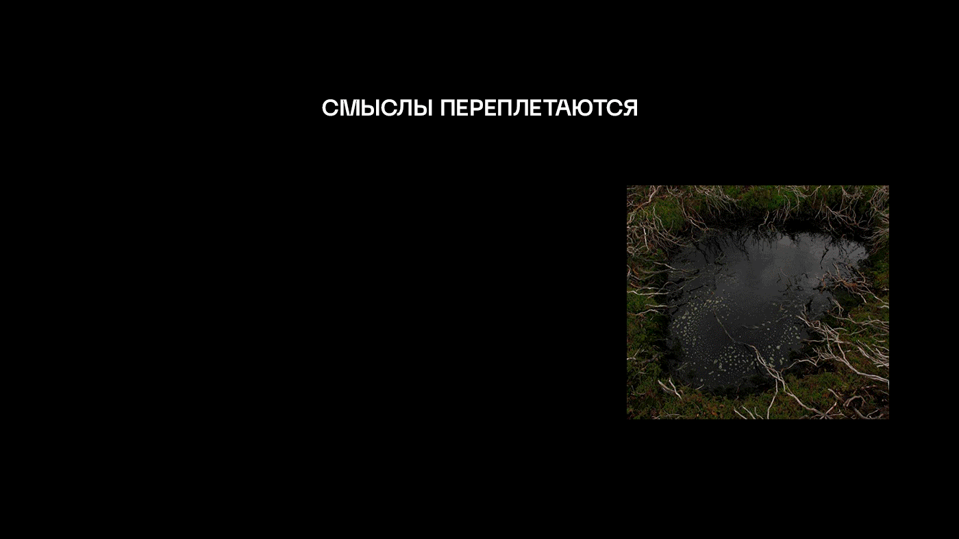 NON-LOGICAL — Изображение №2 — Брендинг на Dprofile