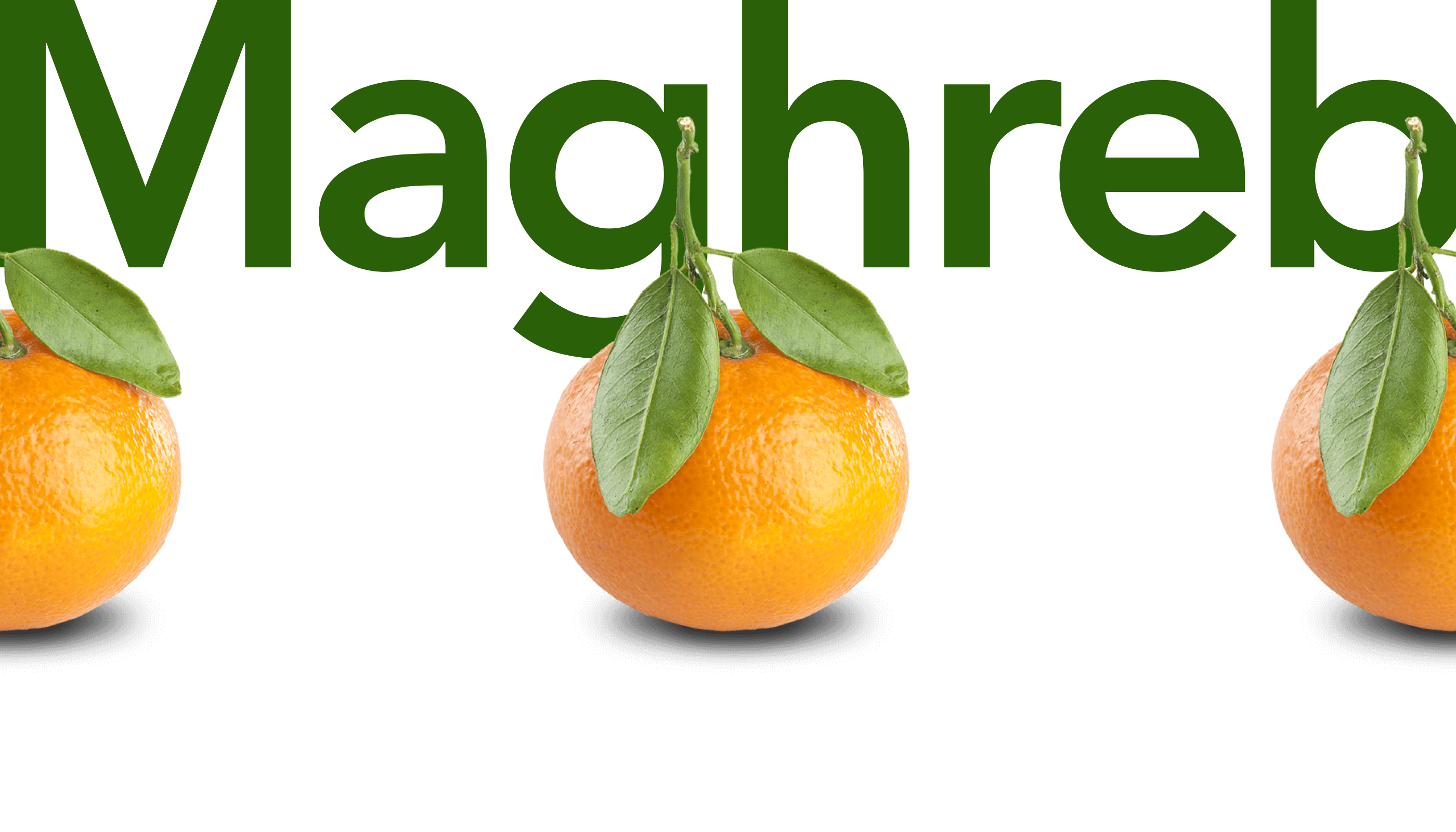 Maghreb International Trade — Изображение №11 — Брендинг на Dprofile