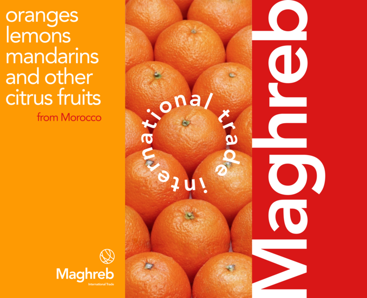 Maghreb International Trade — Брендинг на Dprofile