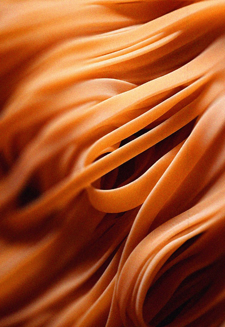 Pasta Passion — Изображение №4 — Брендинг, Графика на Dprofile