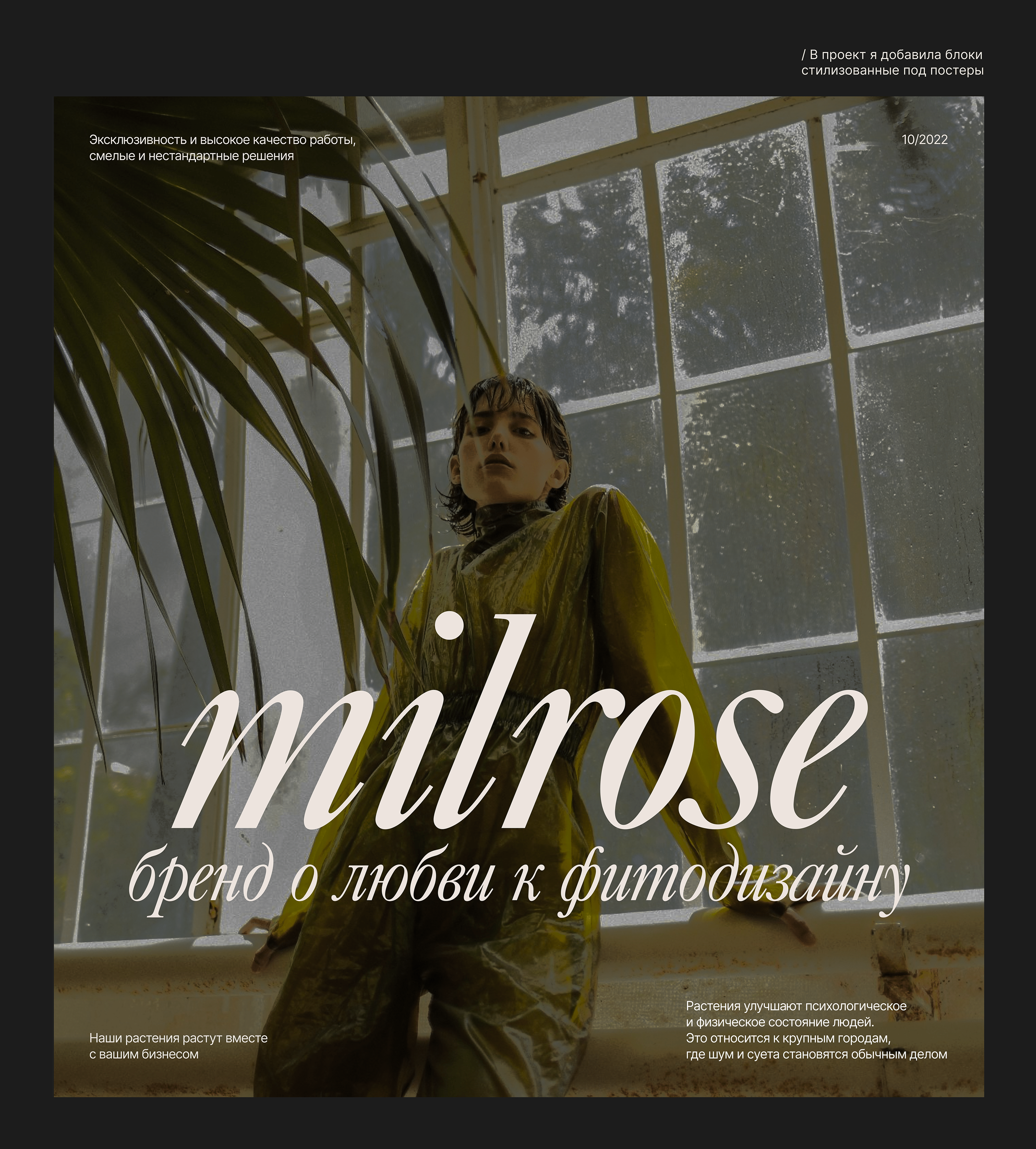 Green phytodesign — Изображение №4 — Интерфейсы, Брендинг на Dprofile
