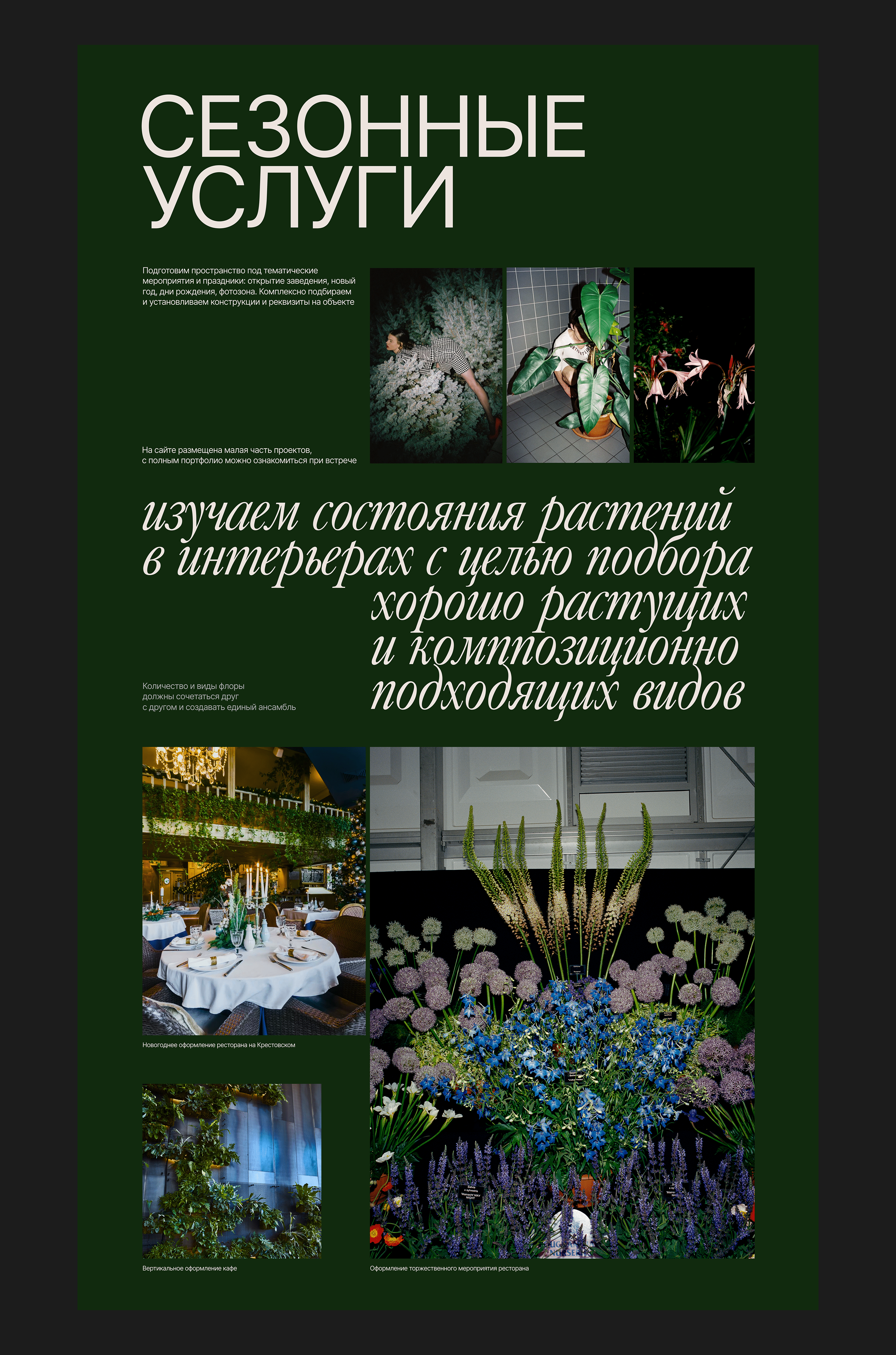 Green phytodesign — Изображение №6 — Интерфейсы, Брендинг на Dprofile