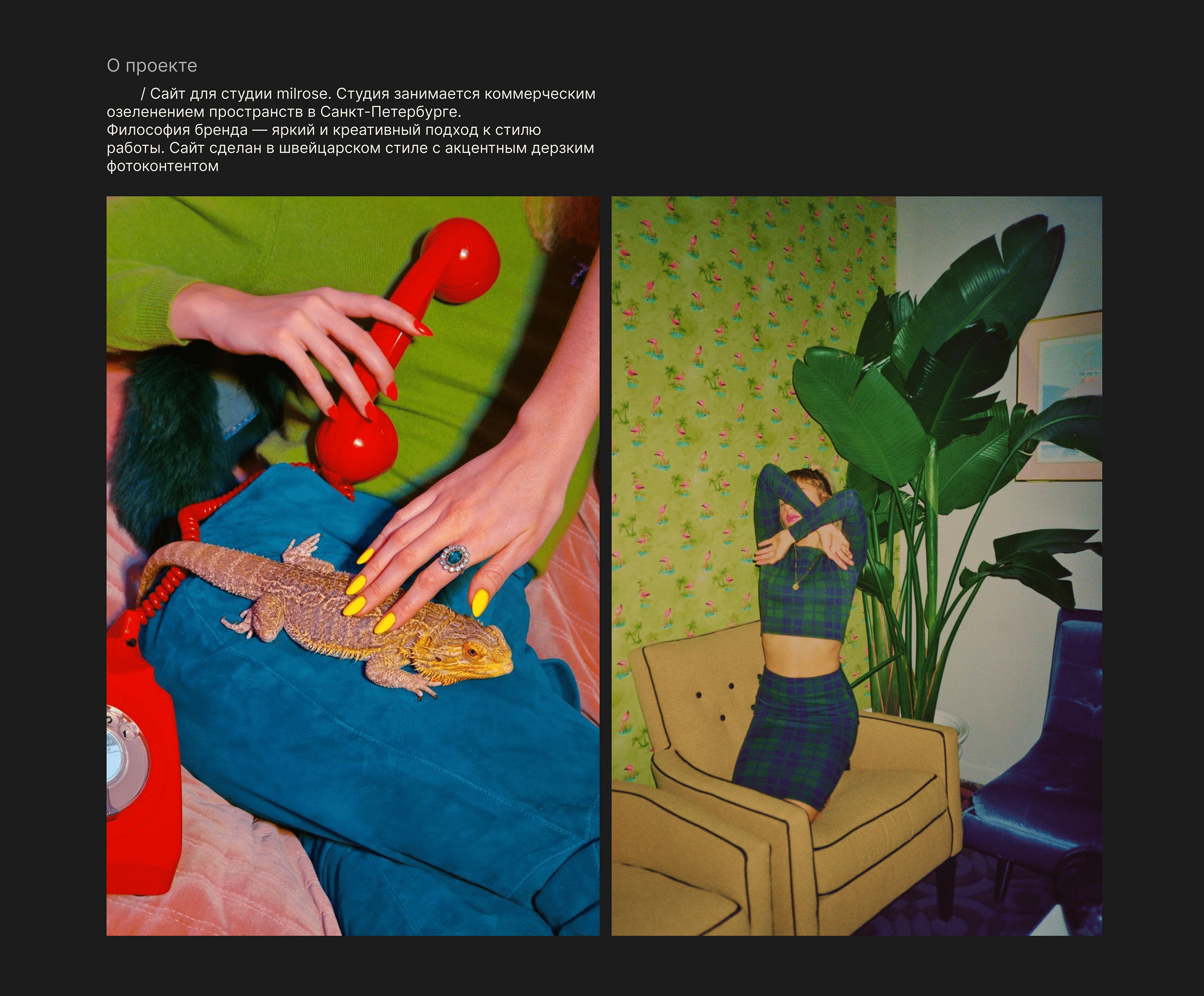 Green phytodesign — Изображение №2 — Интерфейсы, Брендинг на Dprofile