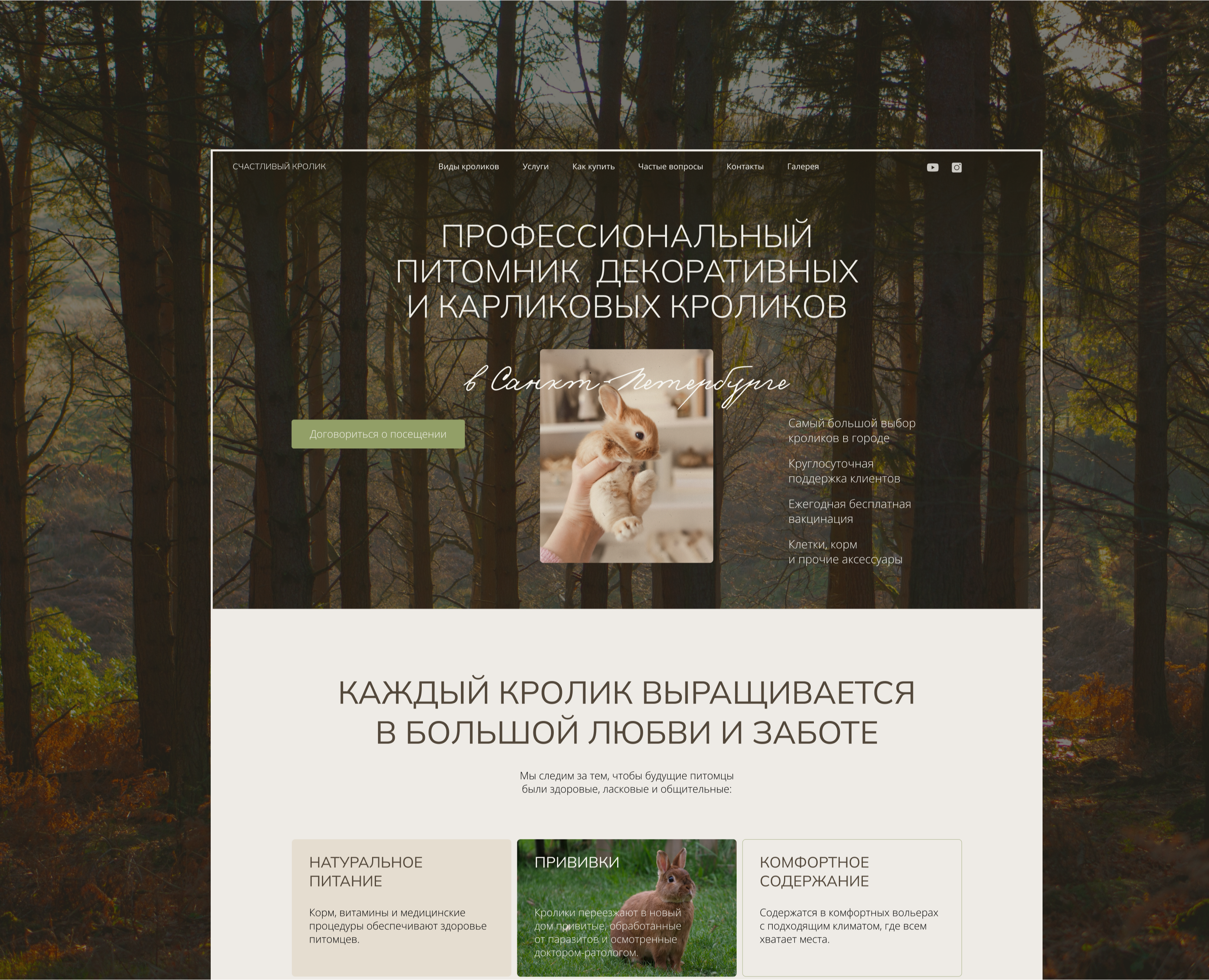 Сайт для питомника кроликов — Интерфейсы, Маркетинг на Dprofile